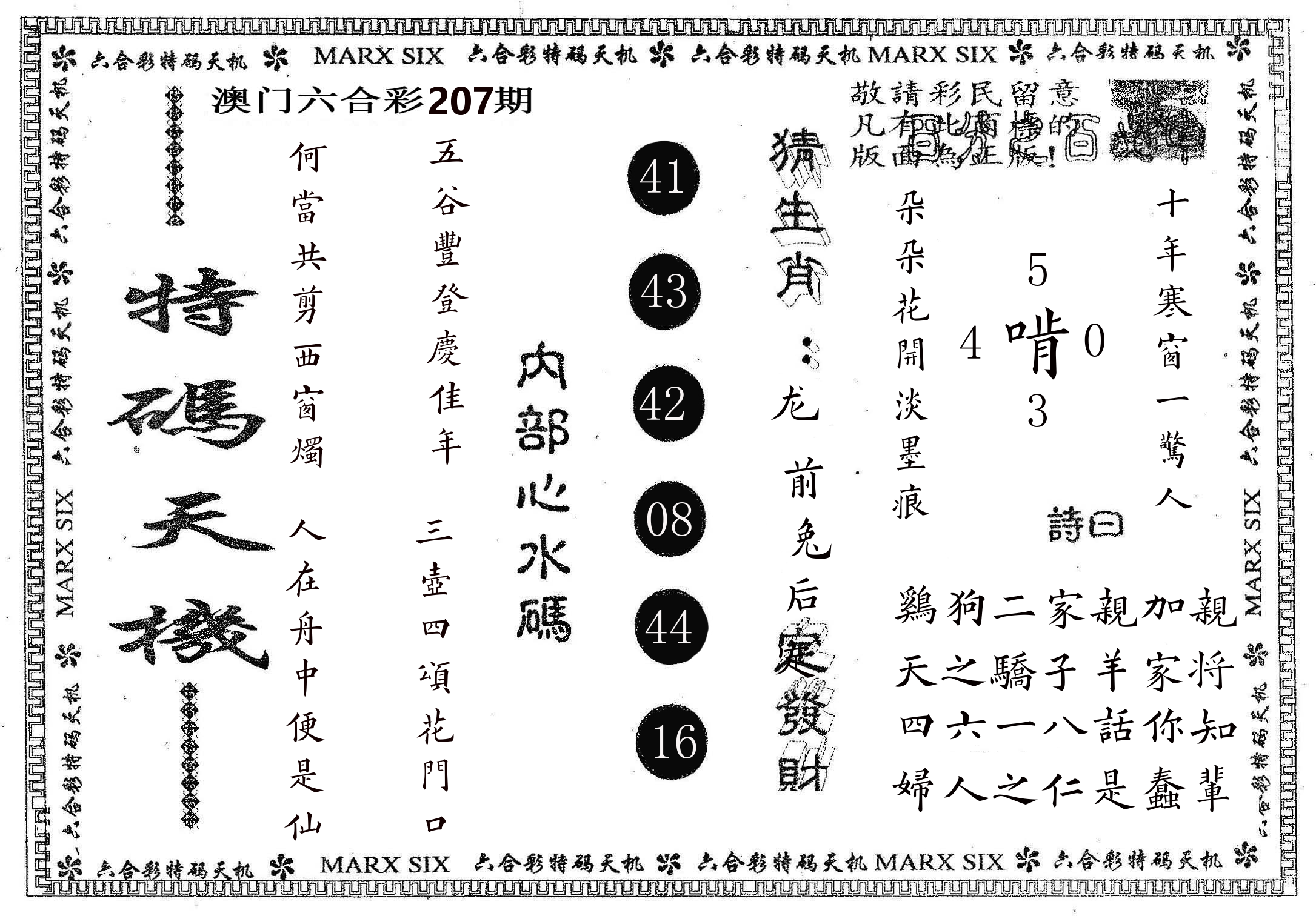特码天机 第207期