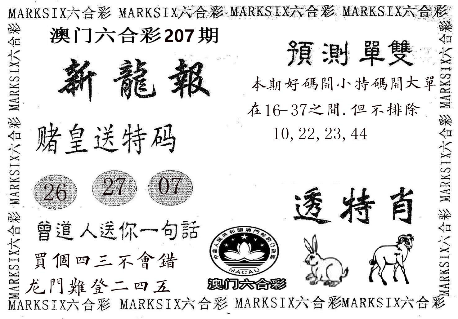 新龙报 第207期