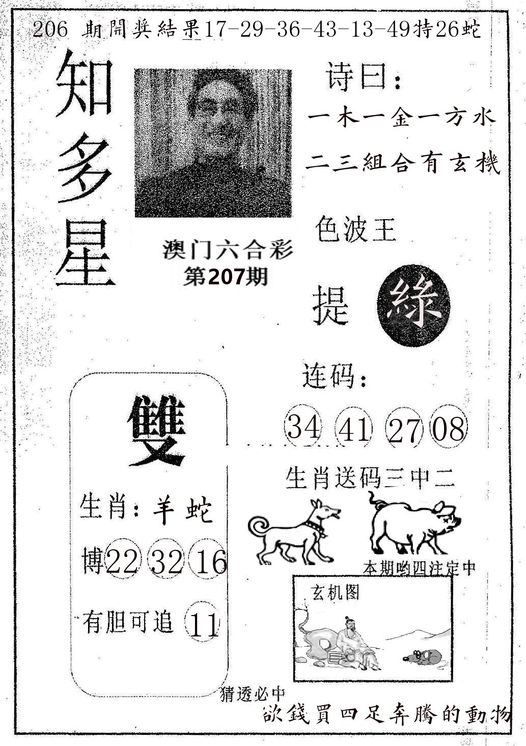 知多星 第207期