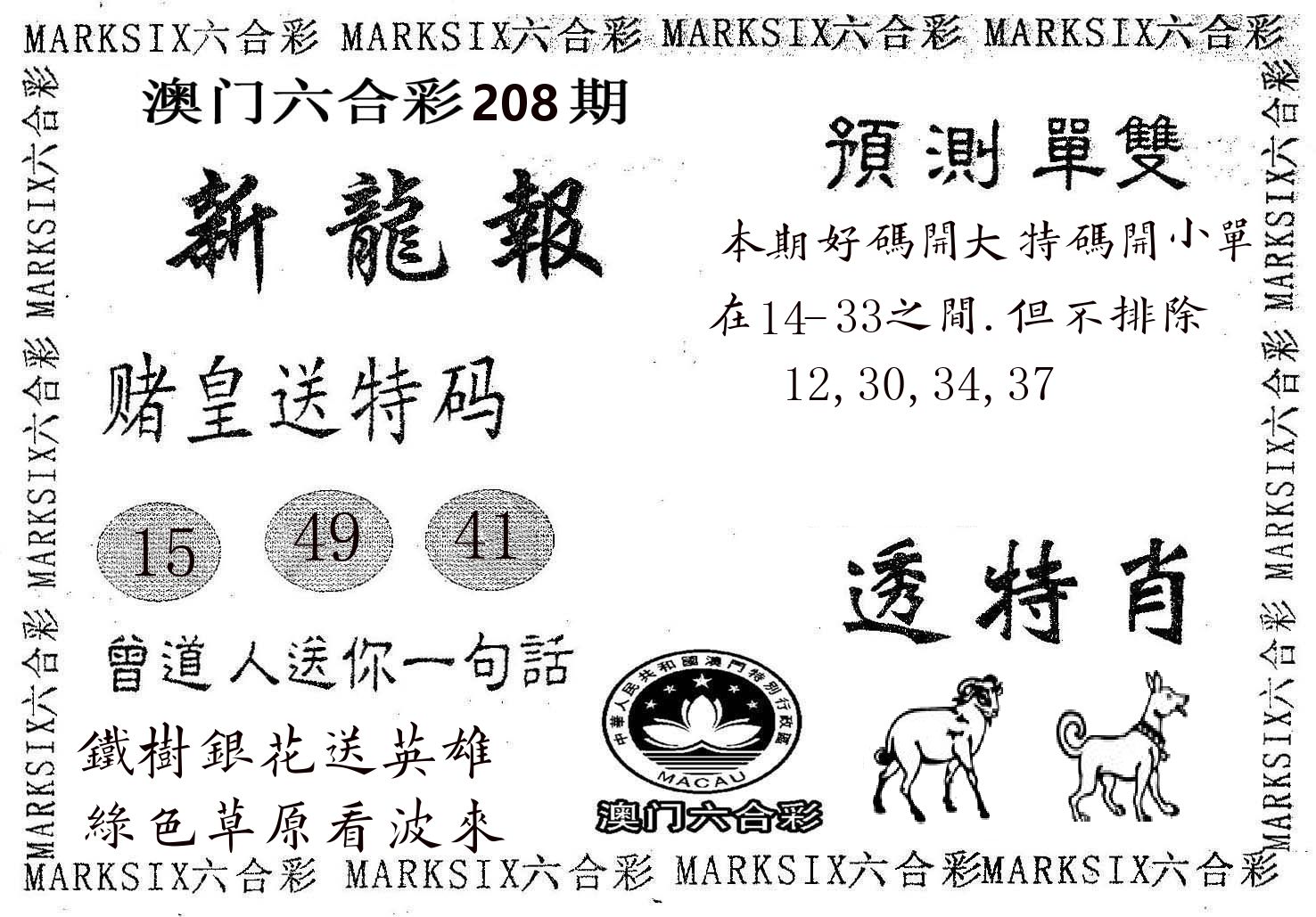新龙报 第208期