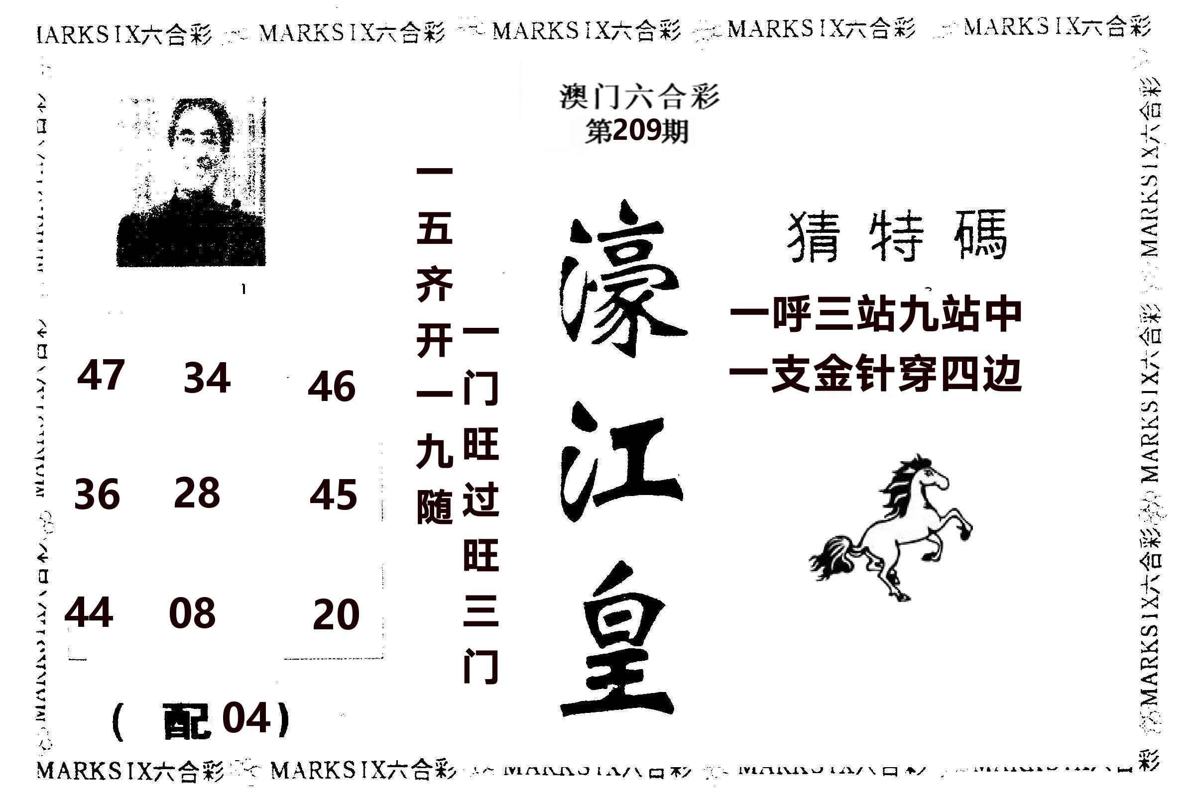 濠江皇 第209期