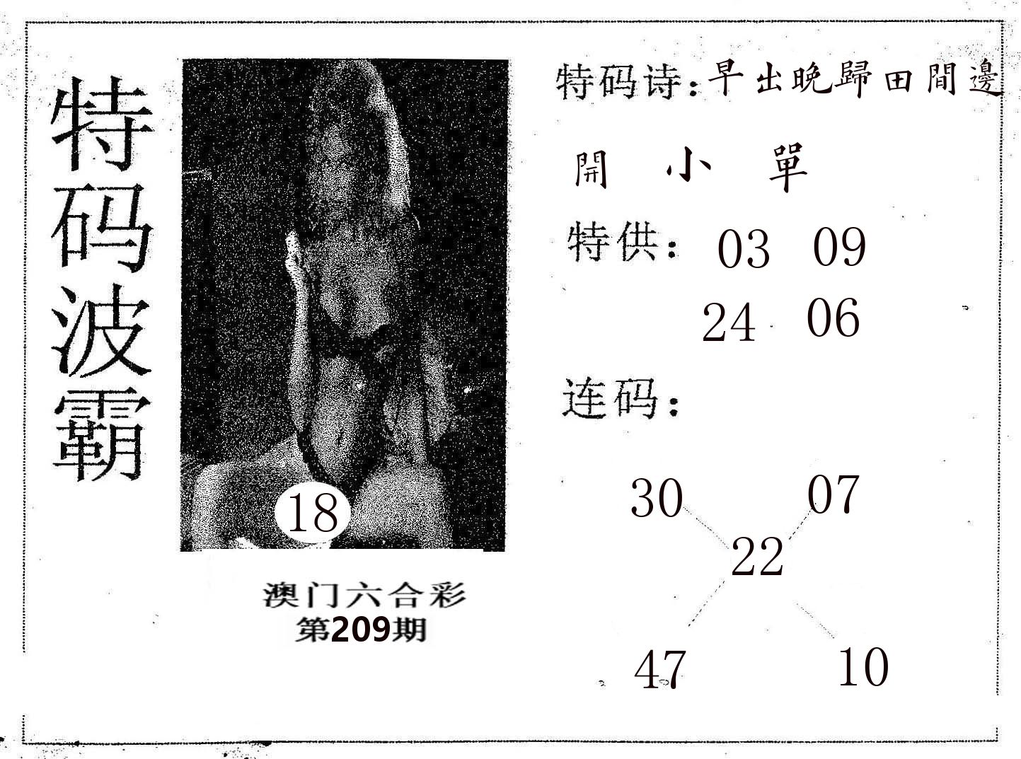 特码波霸 第209期