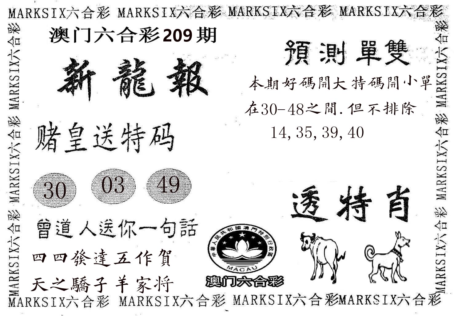新龙报 第209期