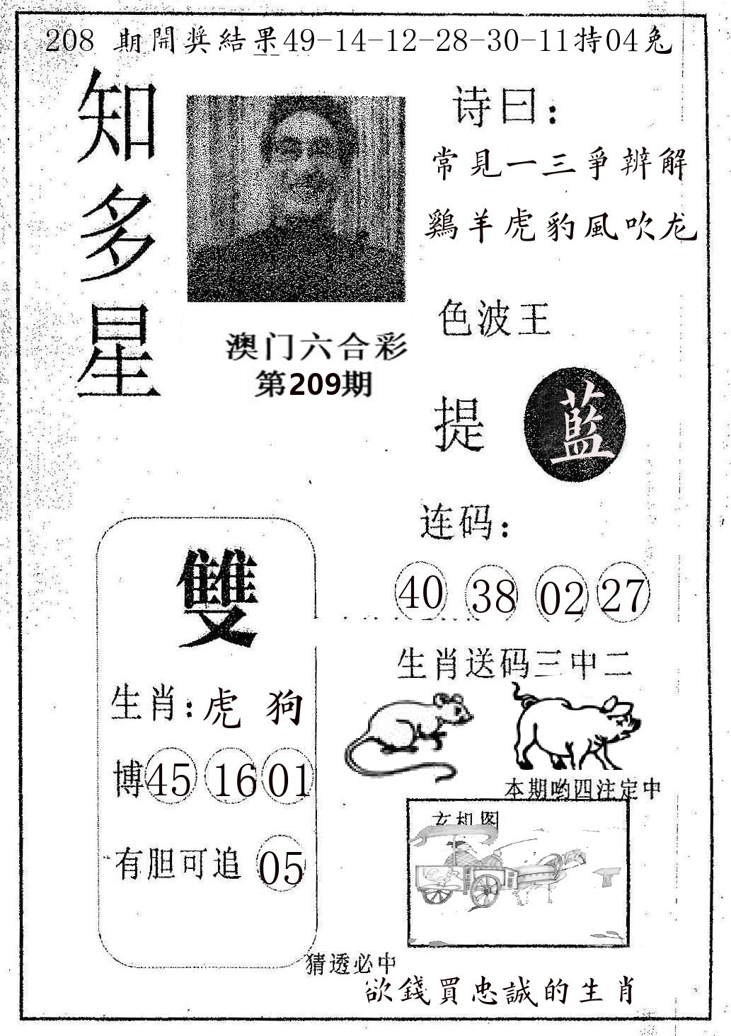 知多星 第209期