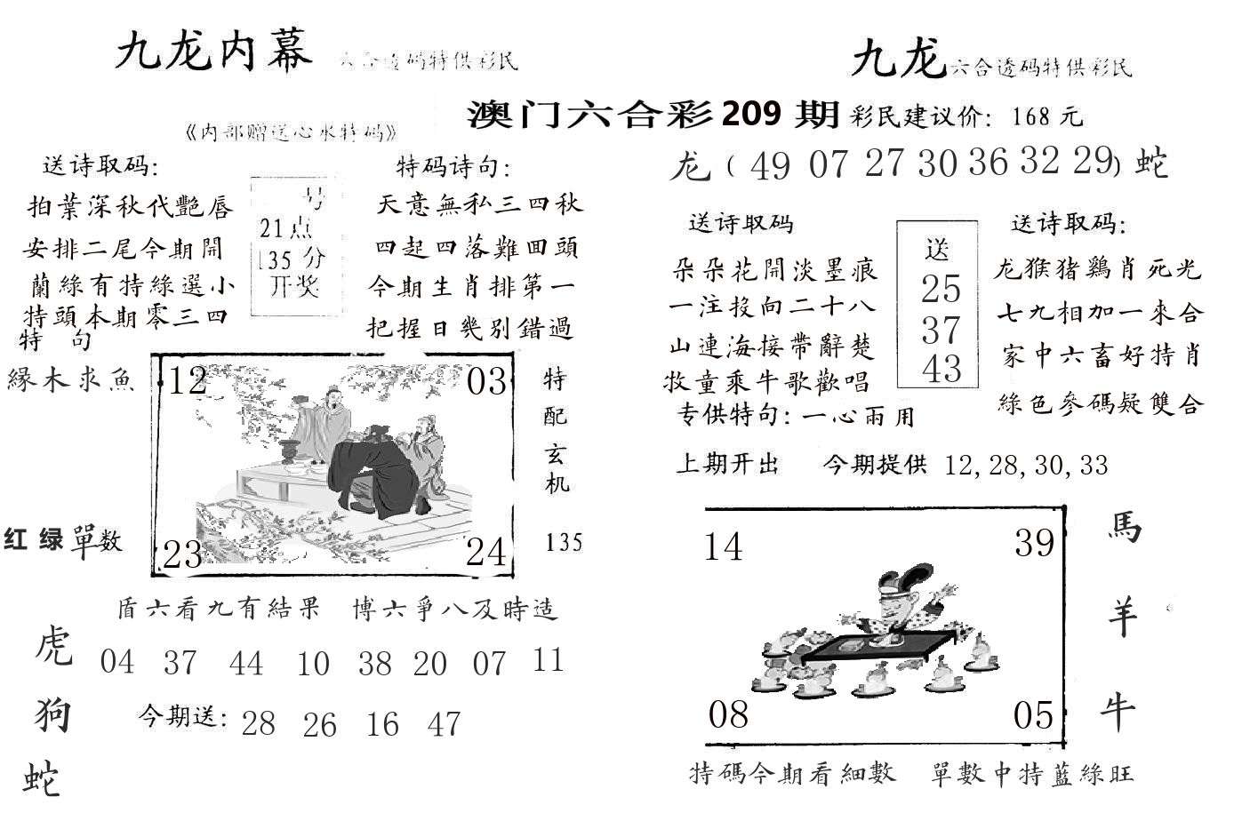 九龙内幕 第209期