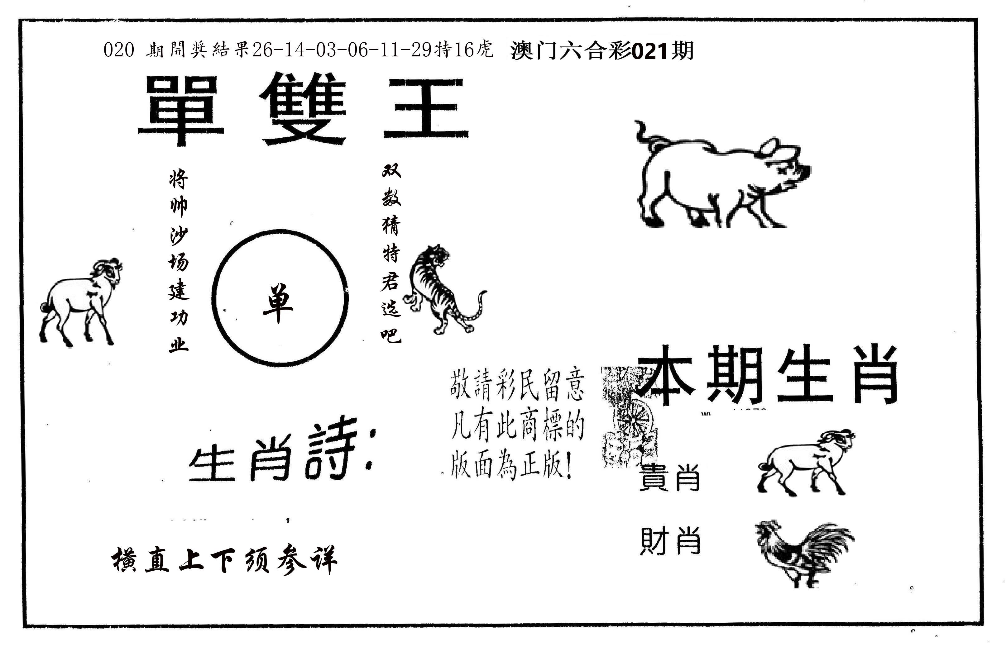 单双王A 第21期