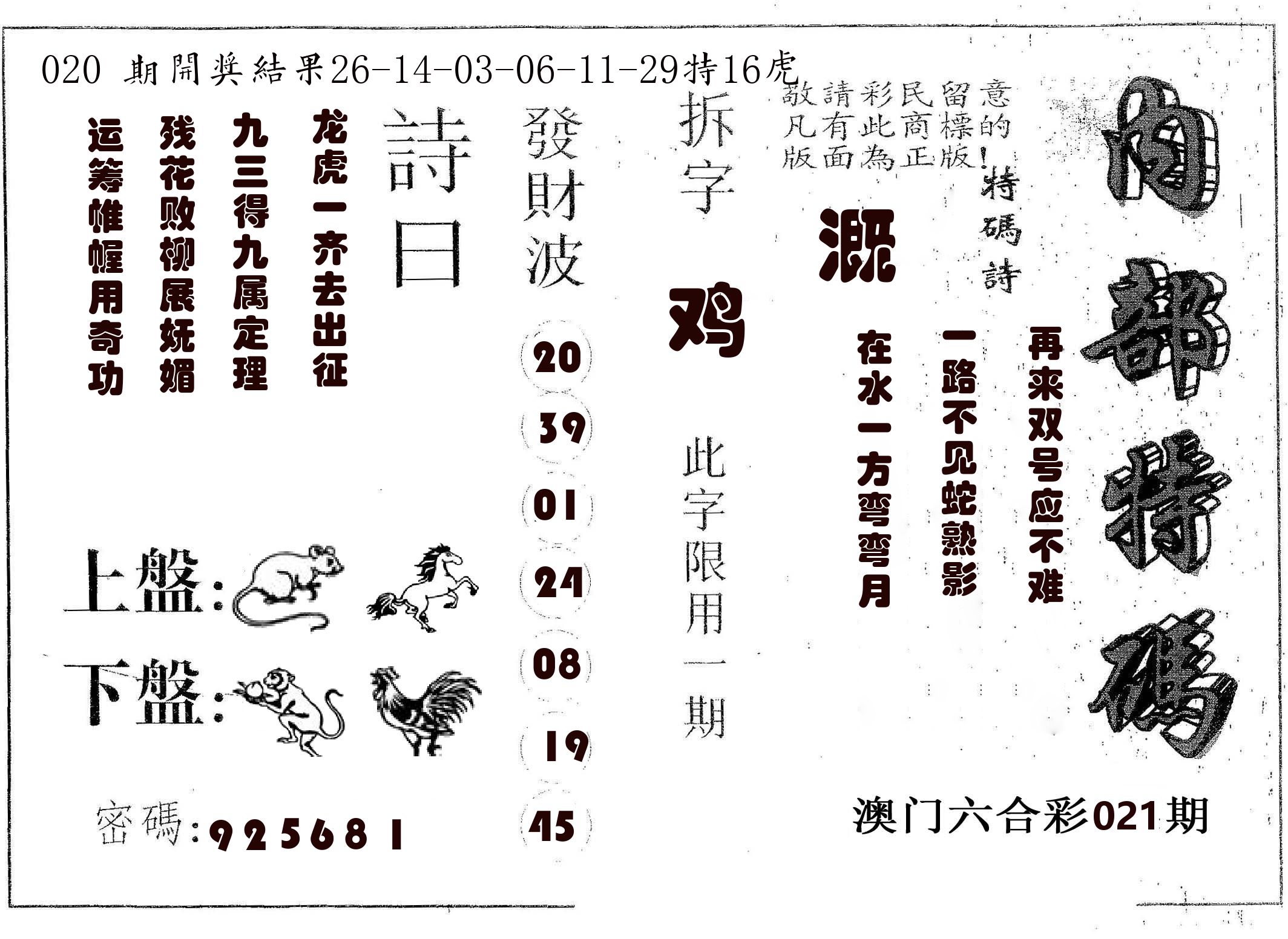 内部特码 第21期