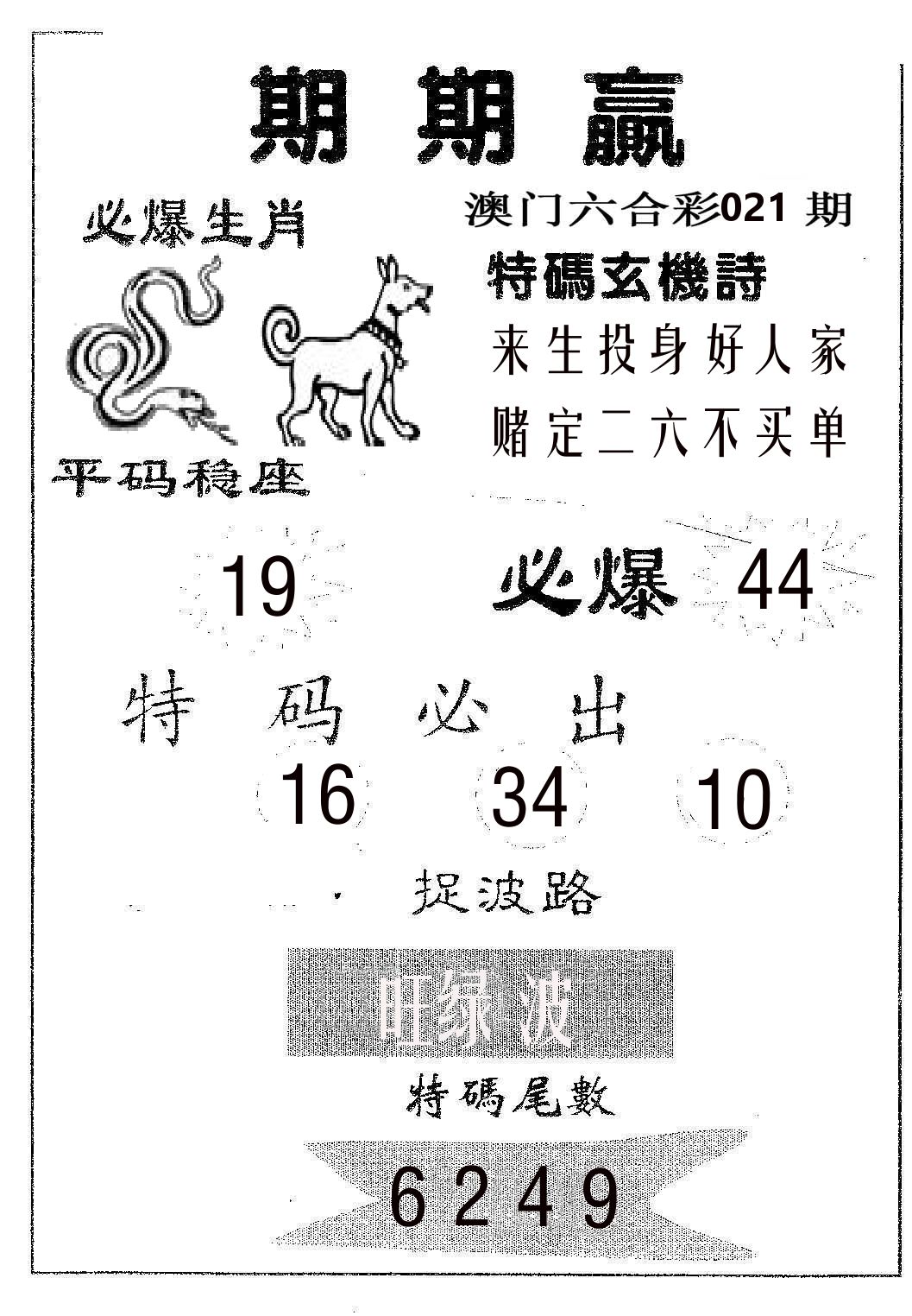 期期赢 第21期