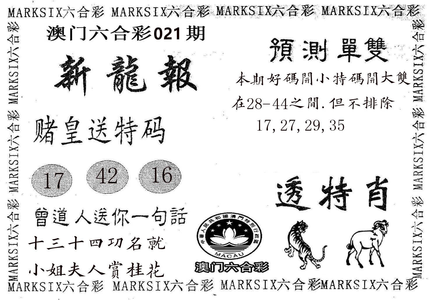 新龙报 第21期