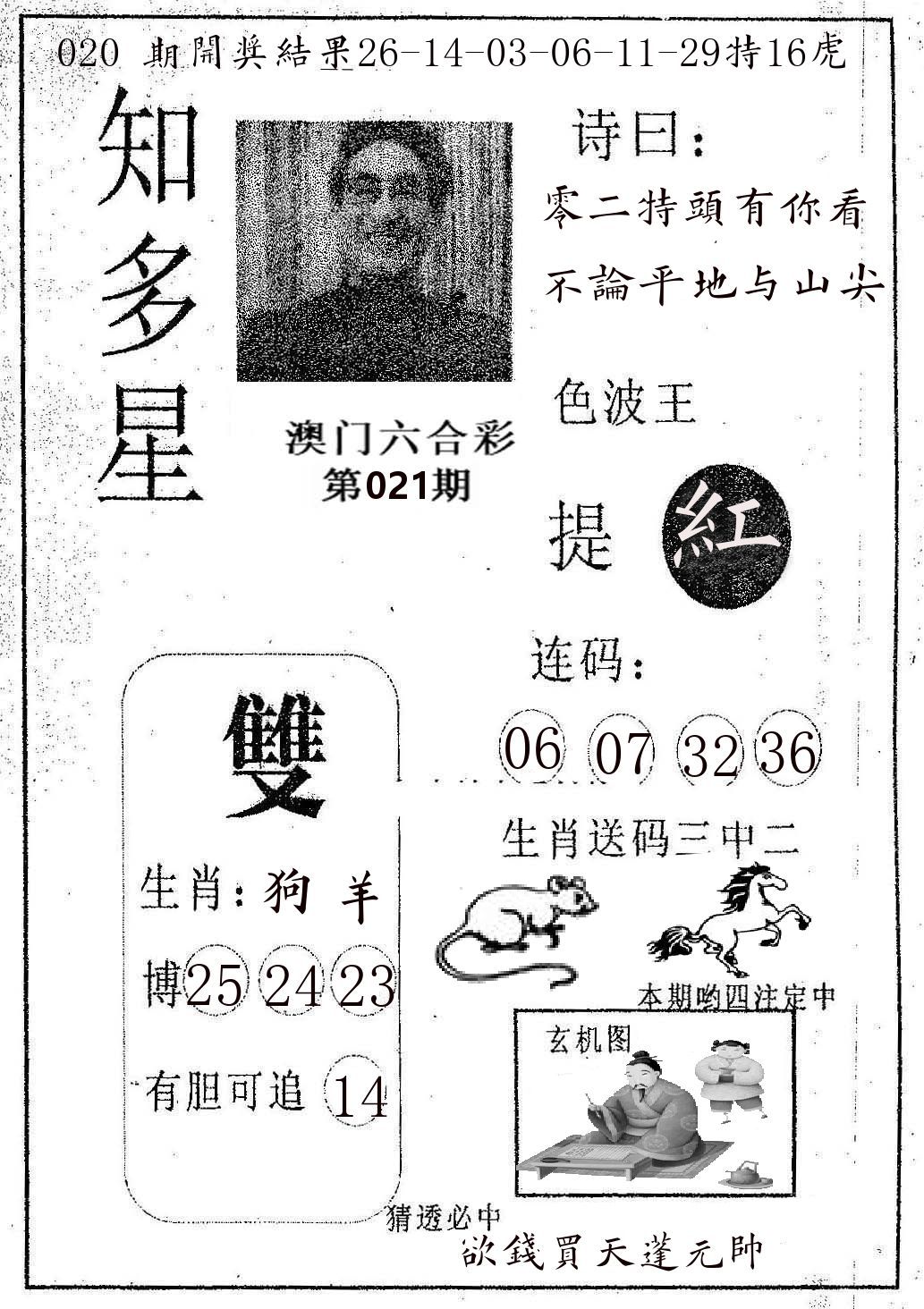 知多星 第21期