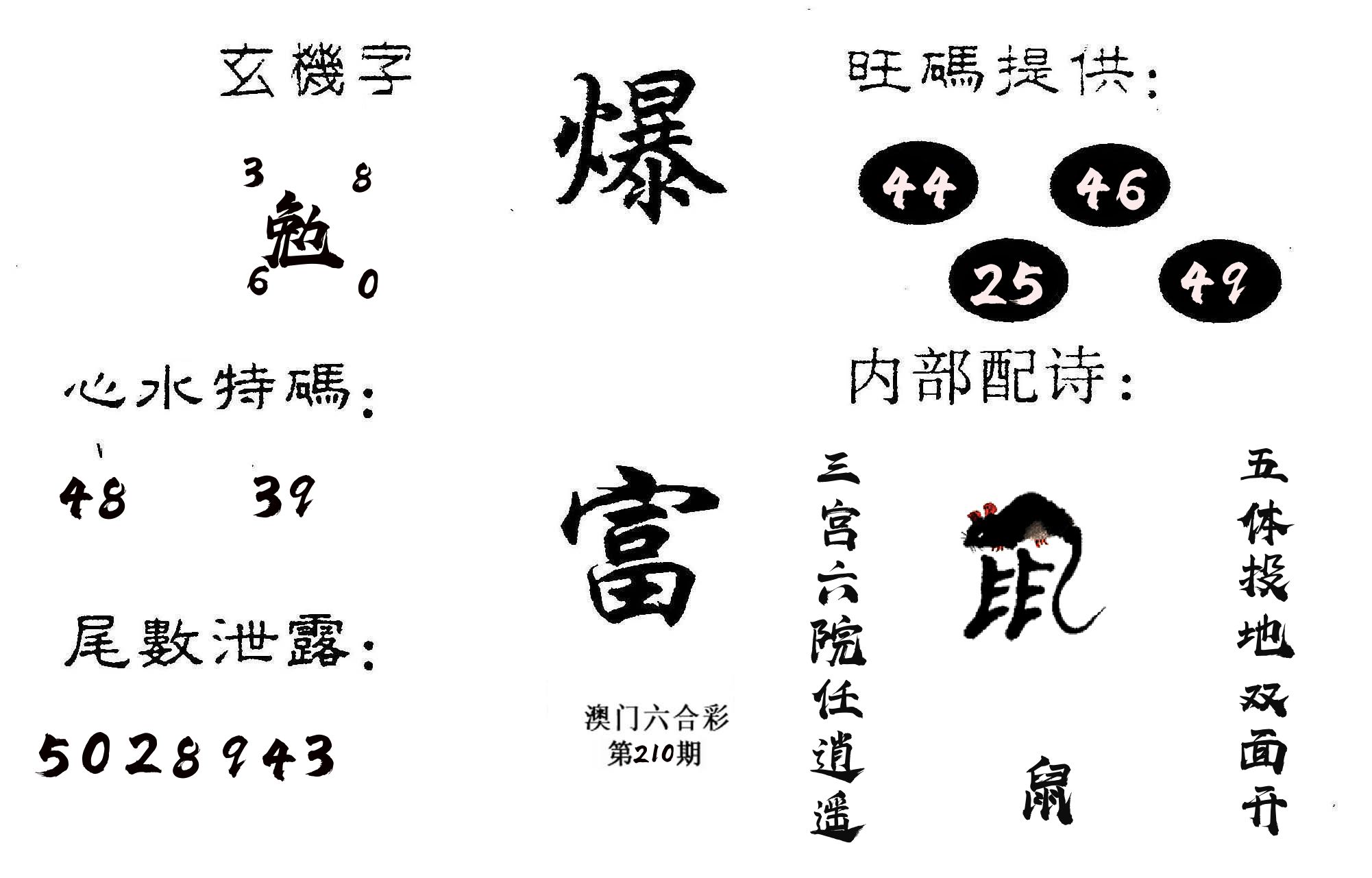爆富 第210期