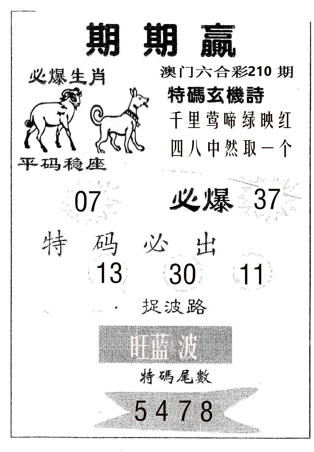 期期赢 第210期