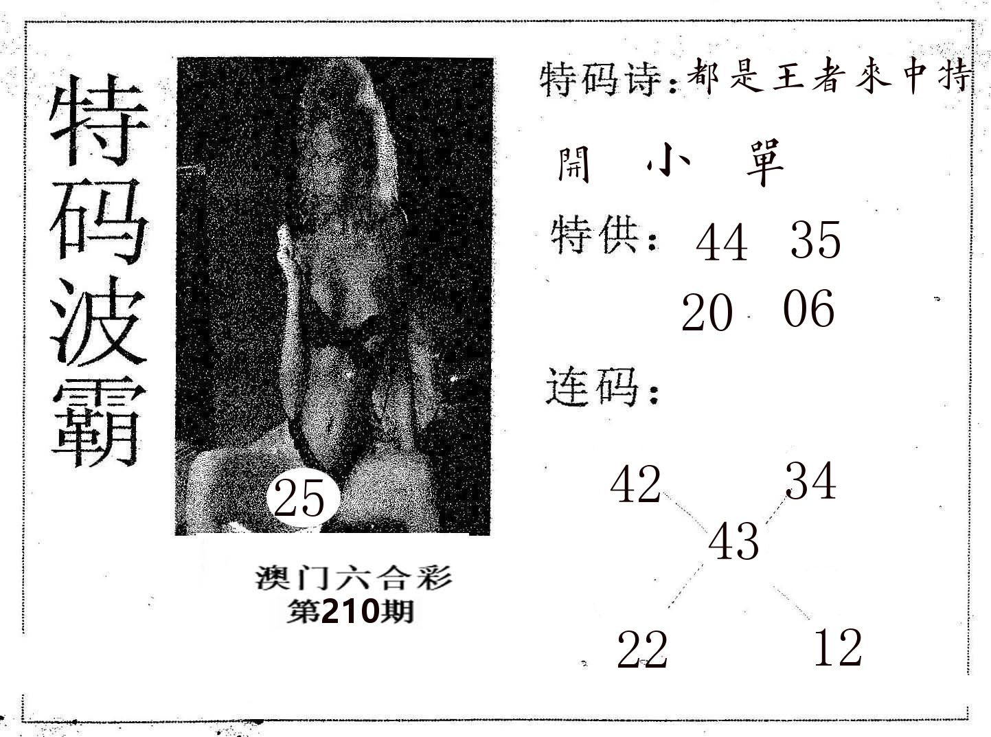 特码波霸 第210期