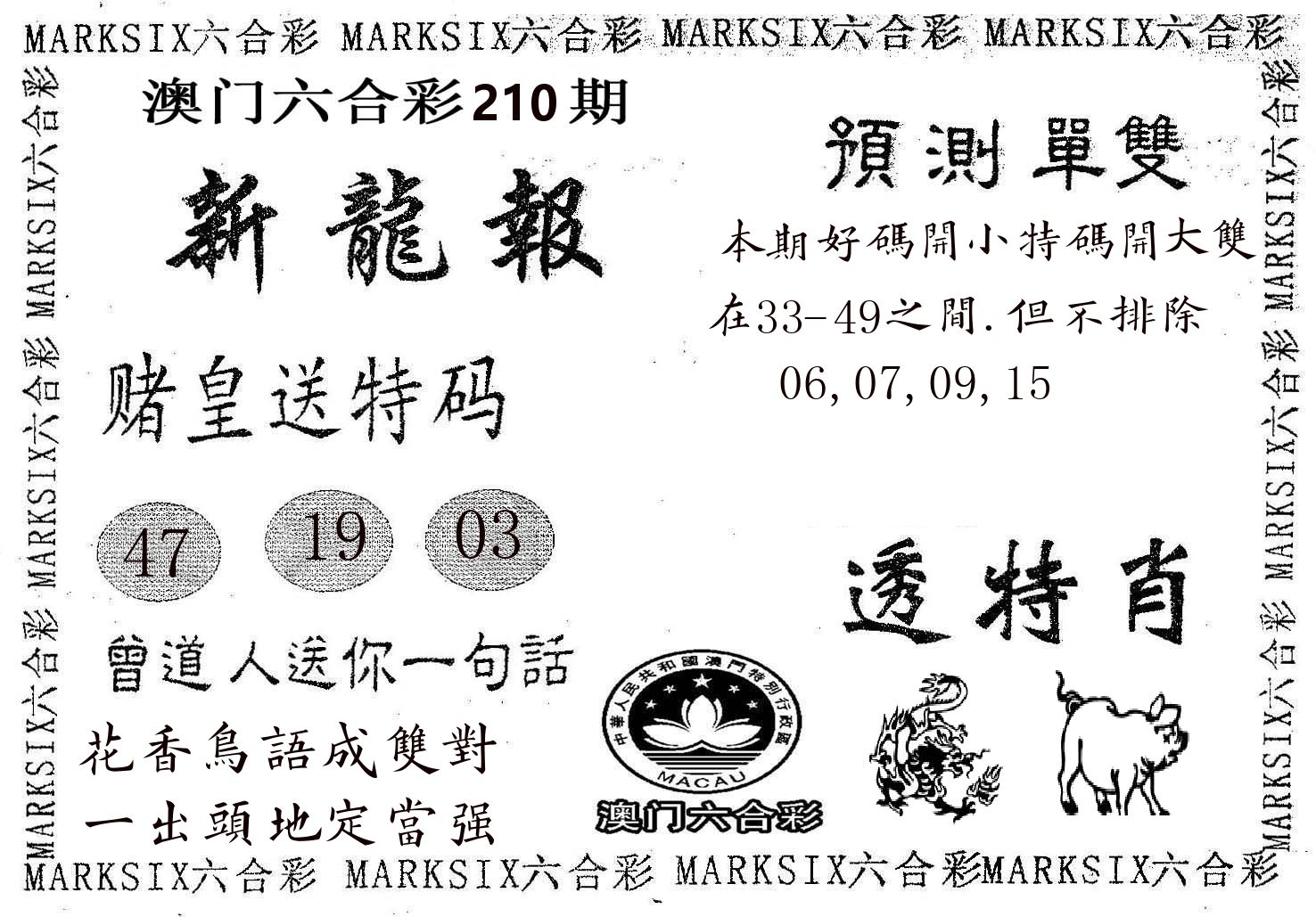 新龙报 第210期