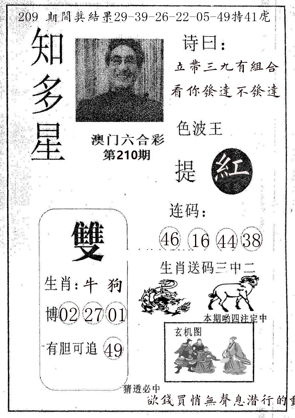 知多星 第210期