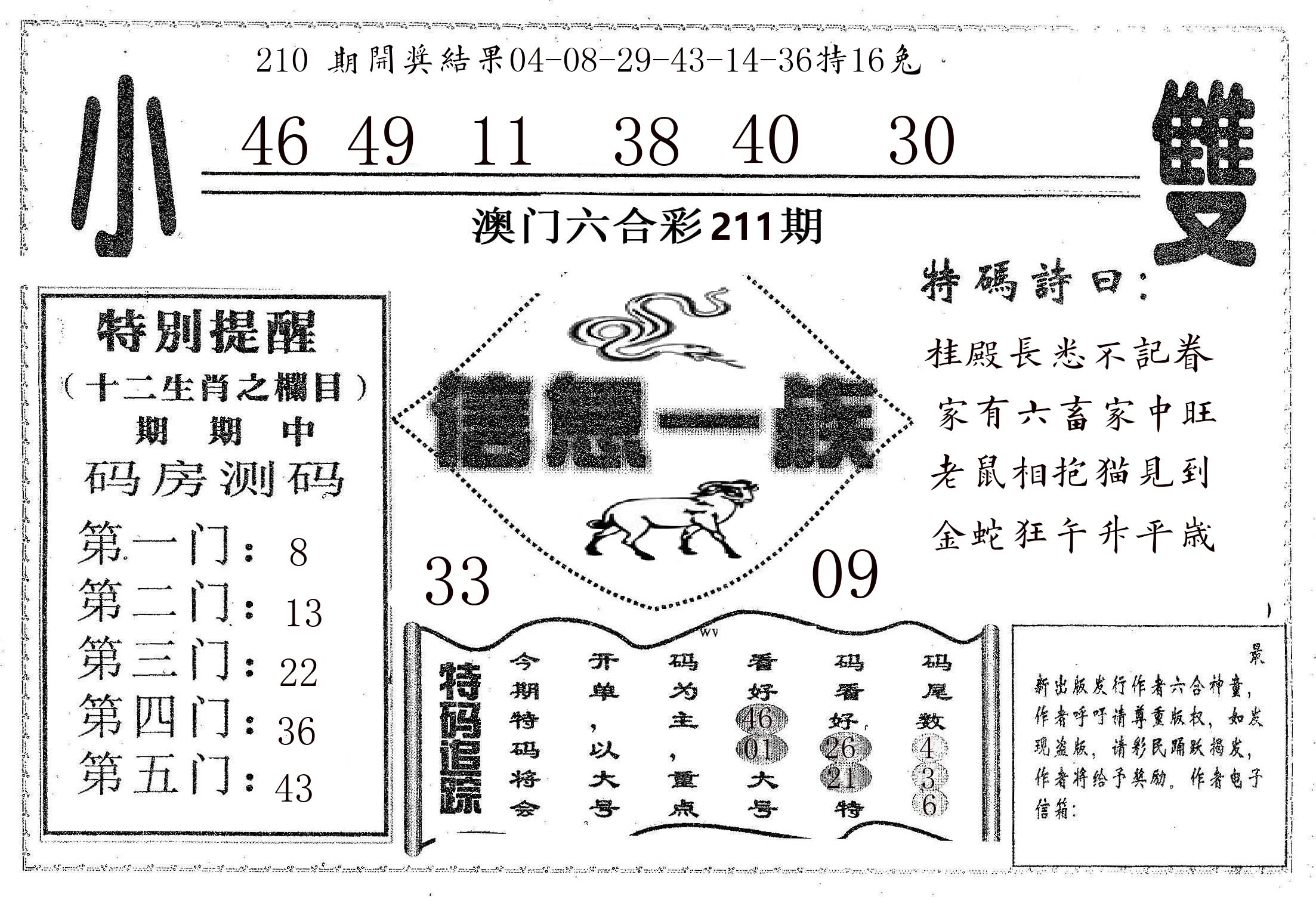 信息一族 第211期