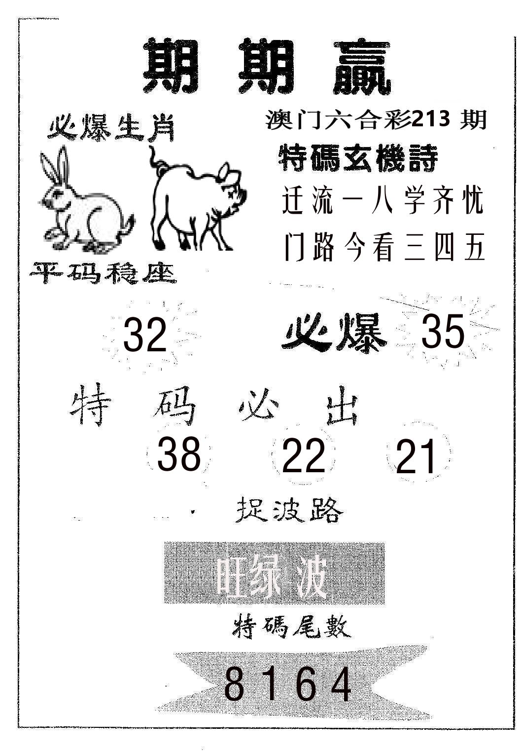 期期赢 第213期
