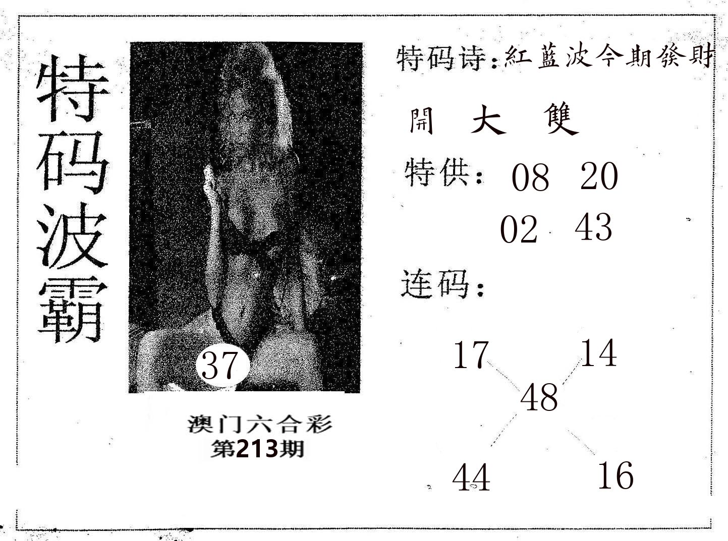 特码波霸 第213期