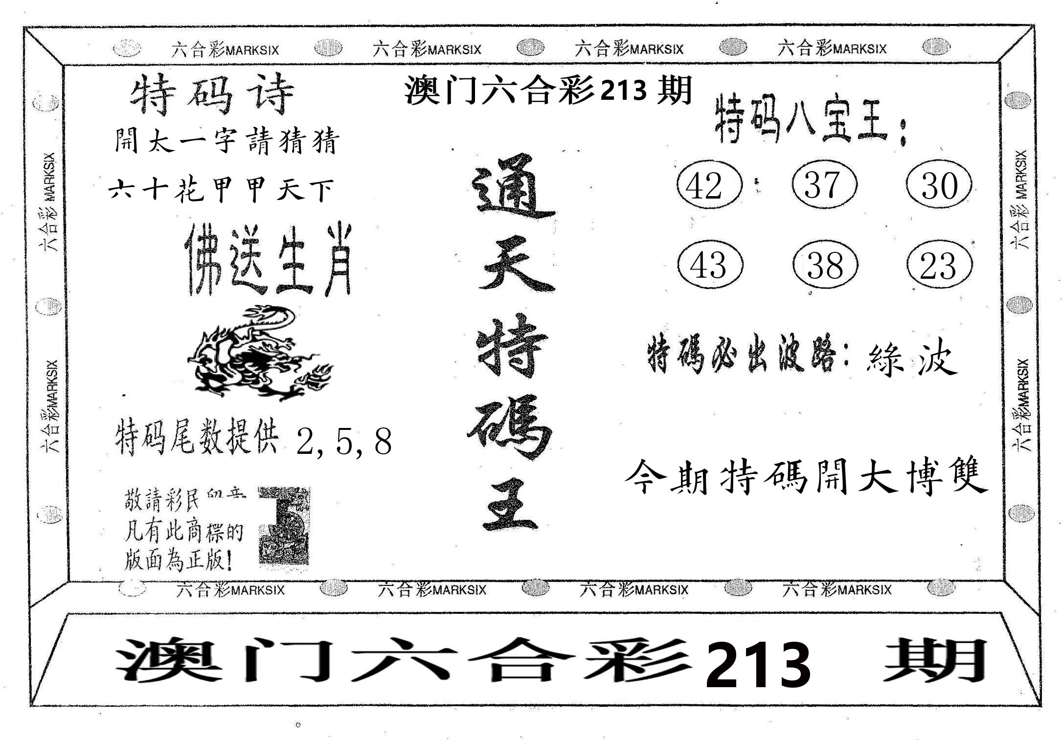 通天特码王 第213期