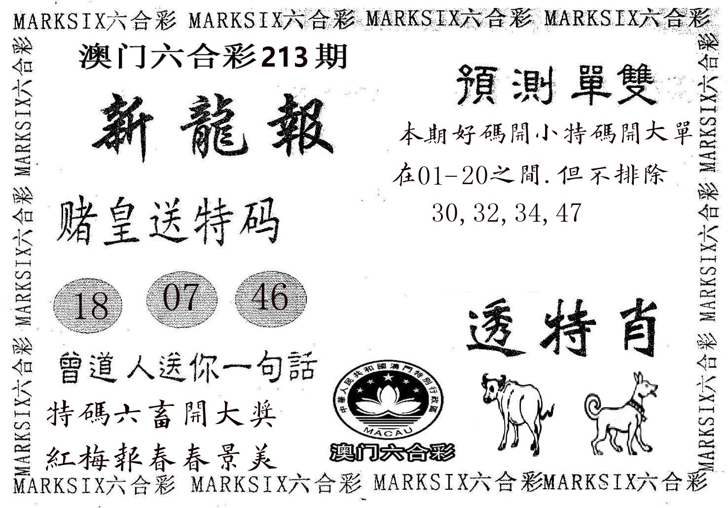 新龙报 第213期