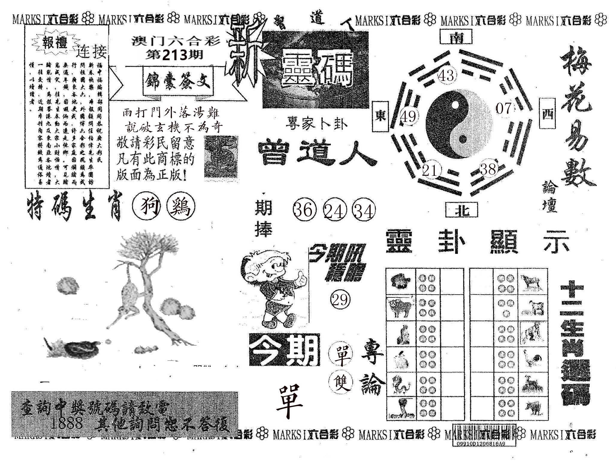 新灵码 第213期