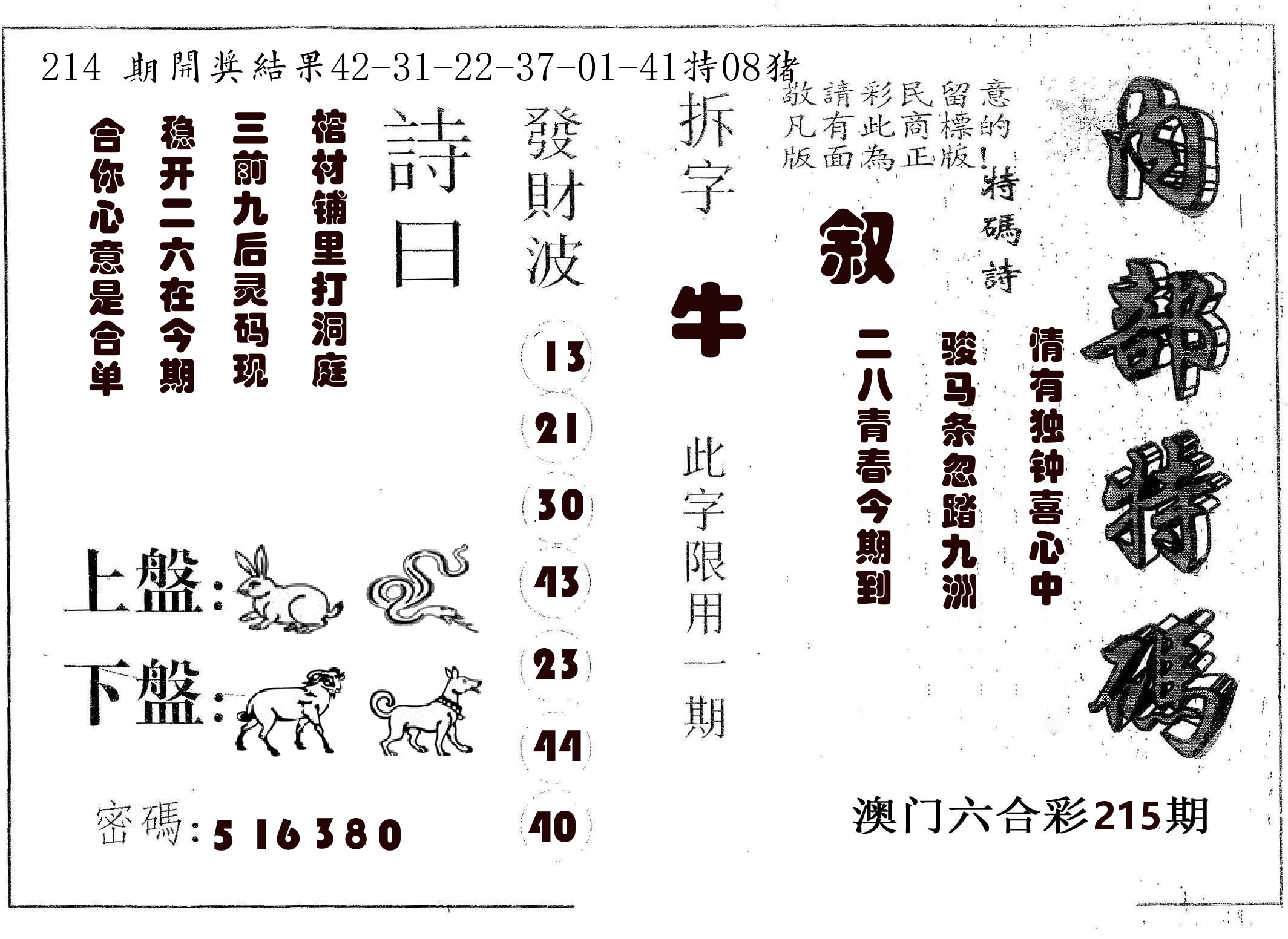 内部特码 第215期