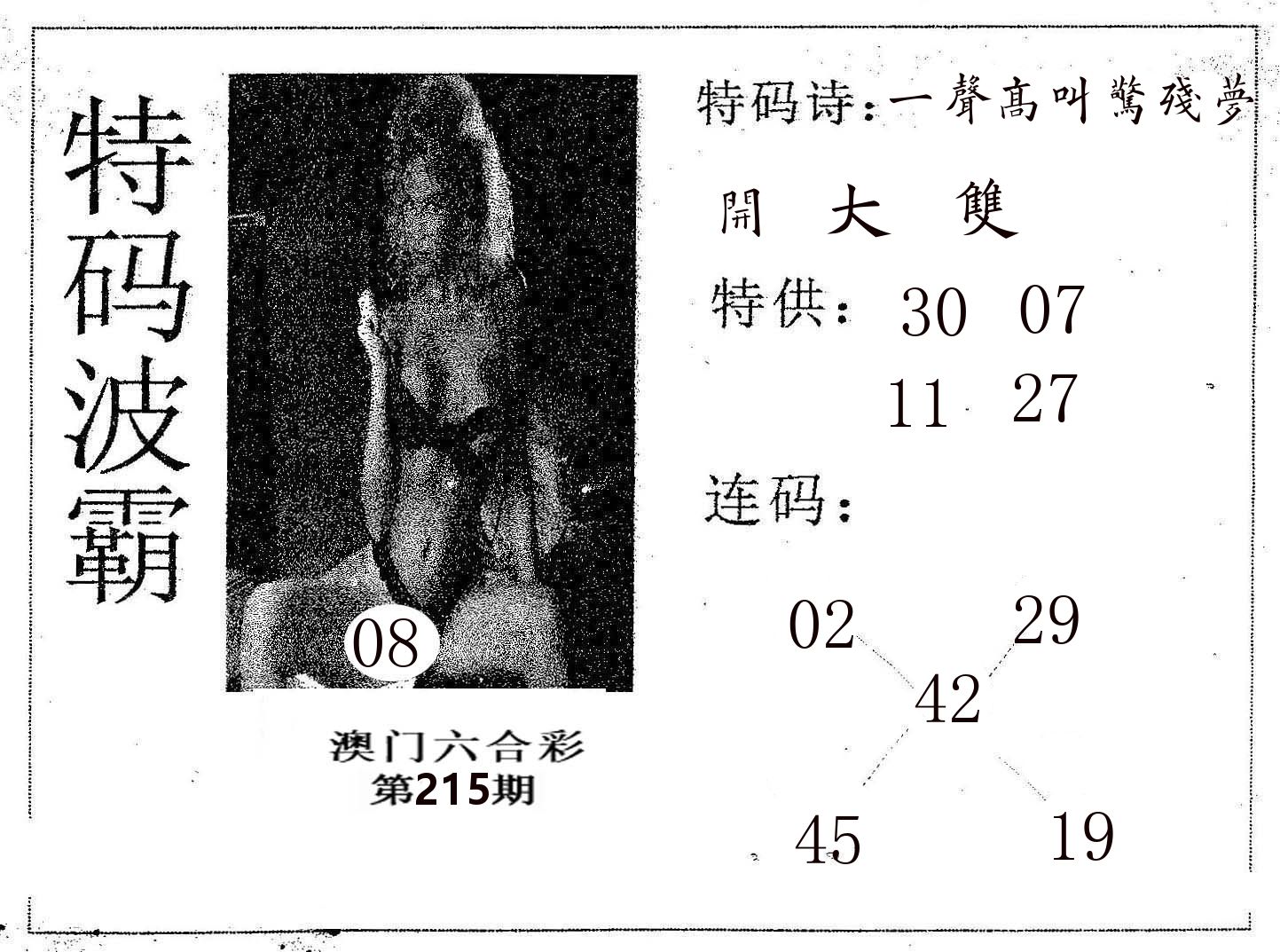 特码波霸 第215期