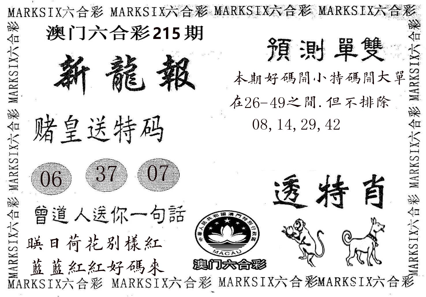 新龙报 第215期