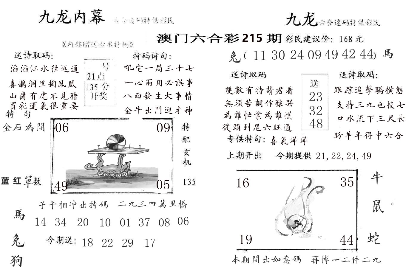 九龙内幕 第215期