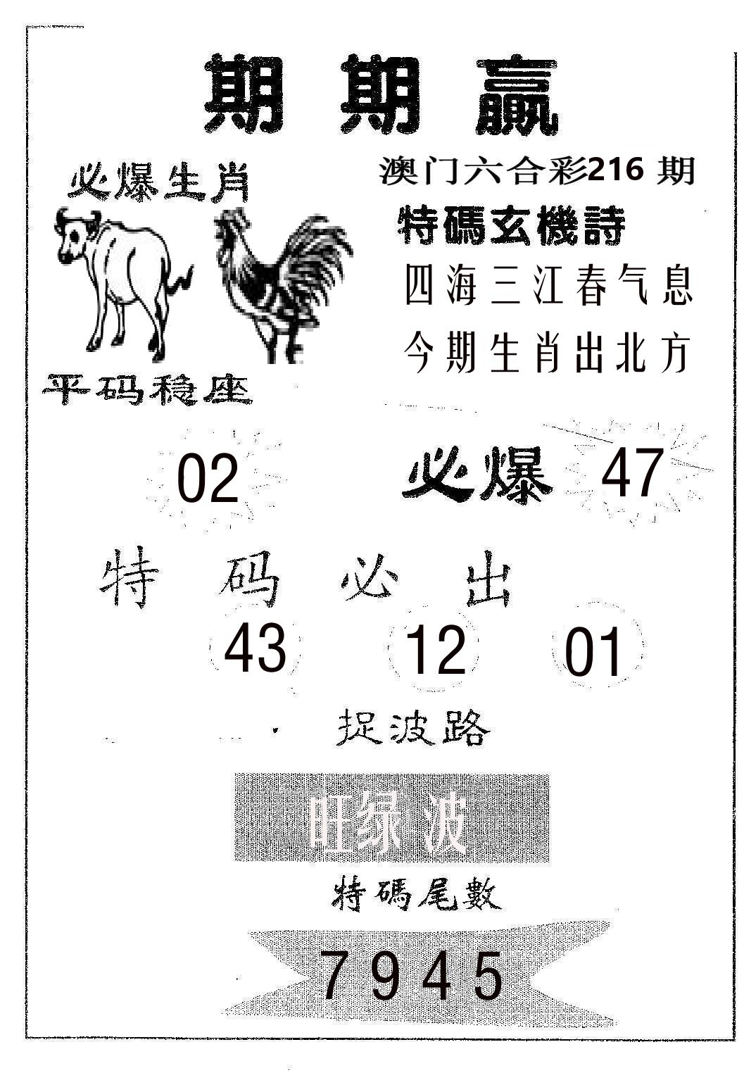 期期赢 第216期