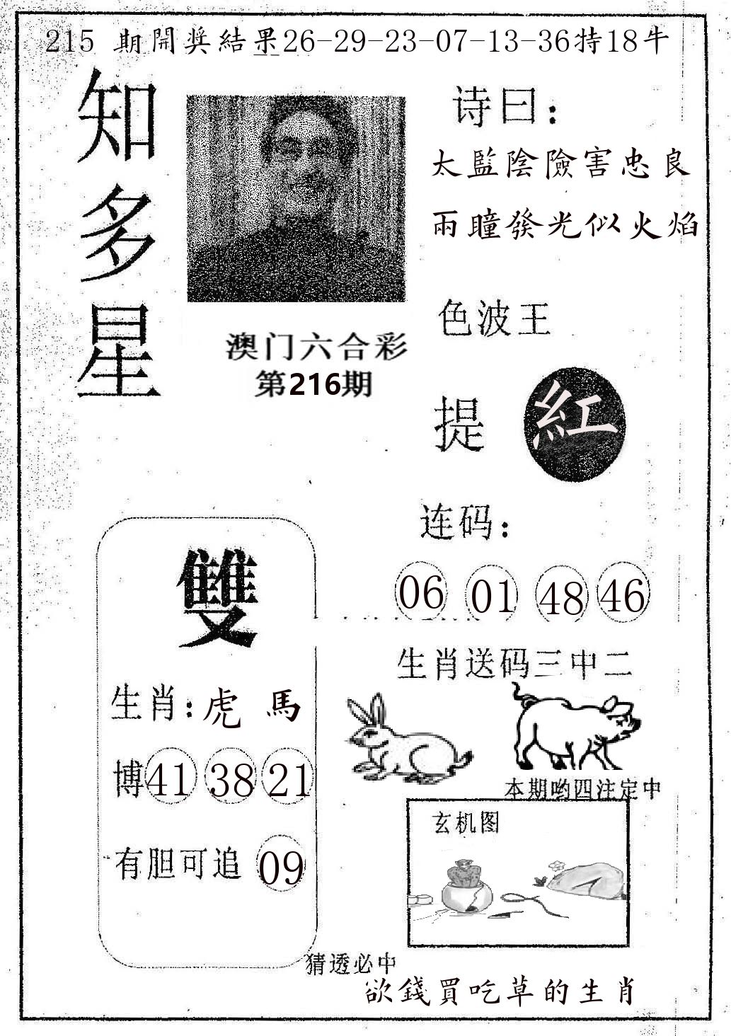 知多星 第216期