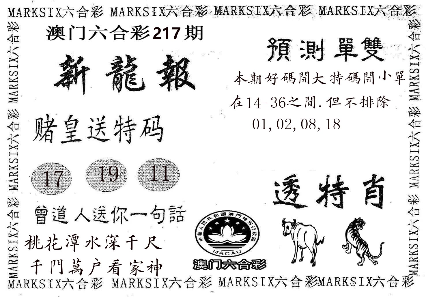 新龙报 第217期