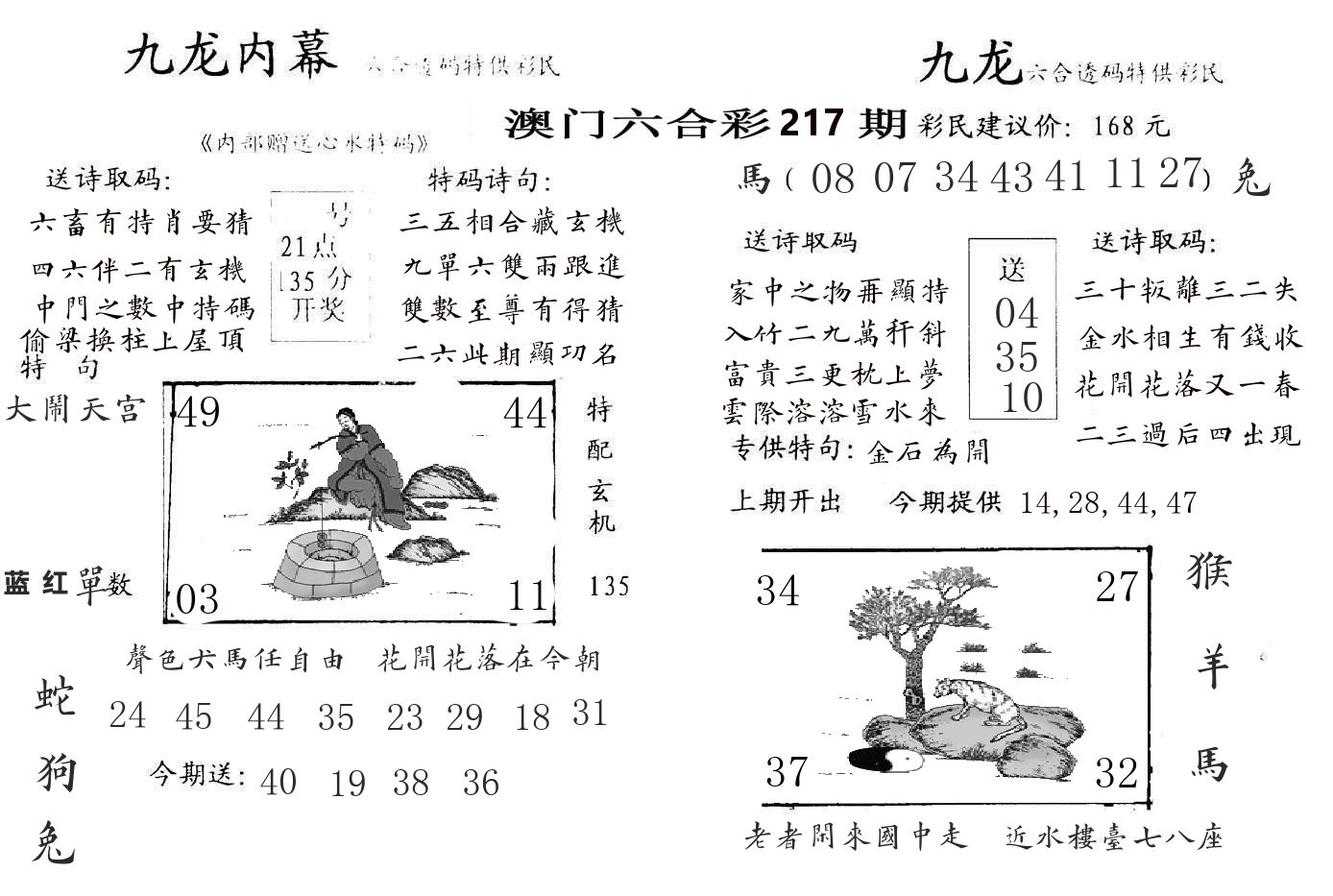 九龙内幕 第217期