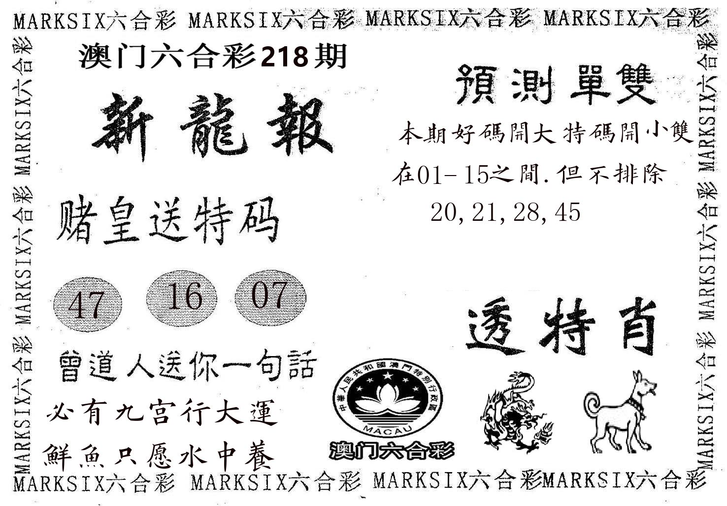 新龙报 第218期