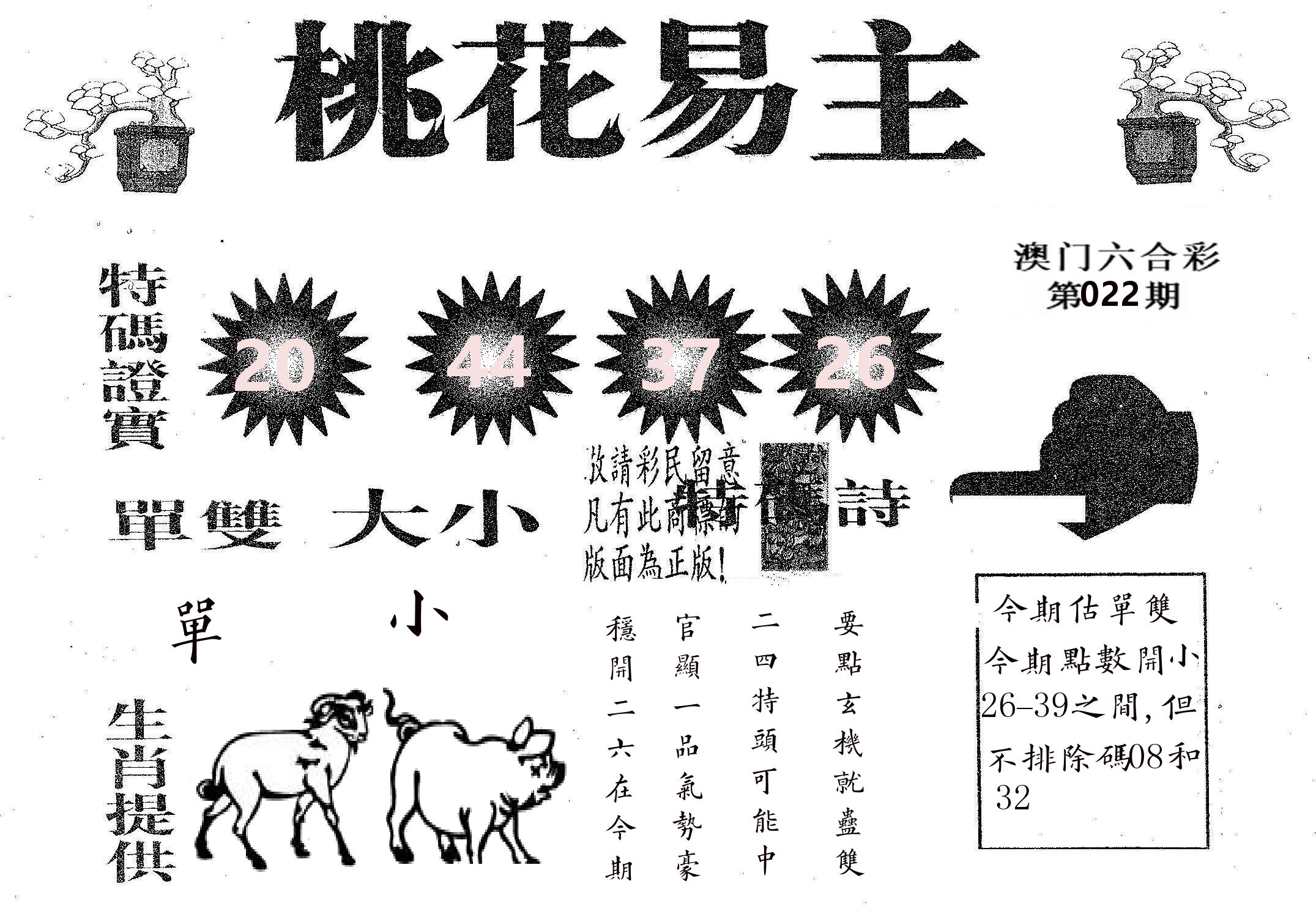 桃花易主 第22期