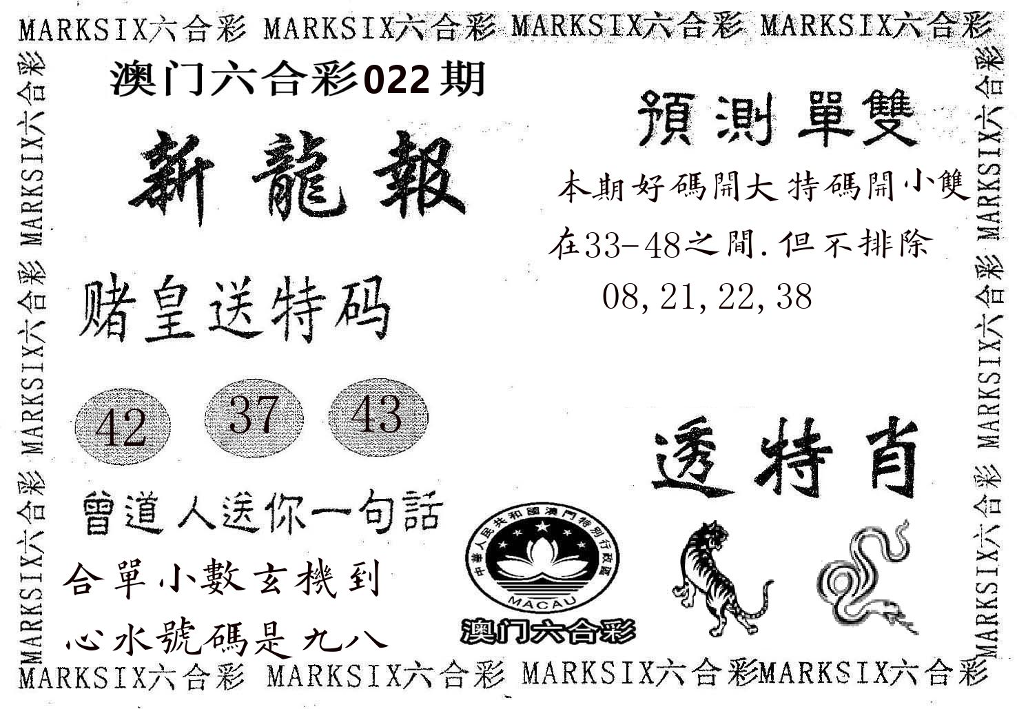 新龙报 第22期