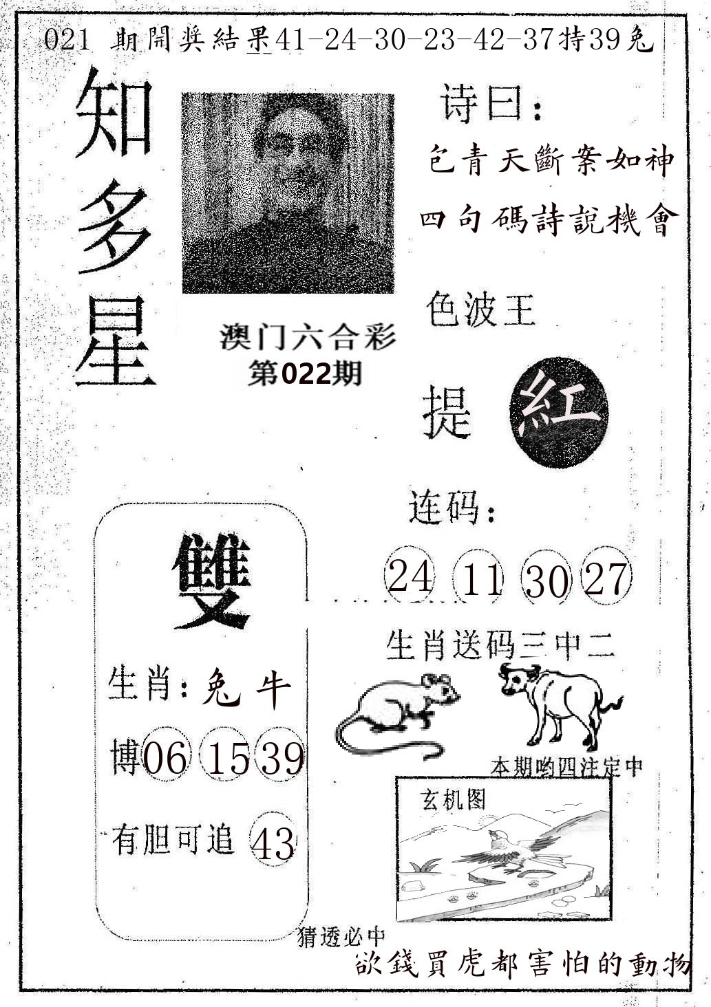 知多星 第22期