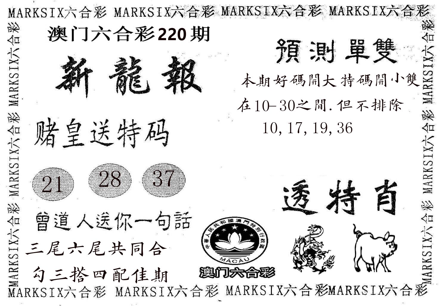 新龙报 第220期