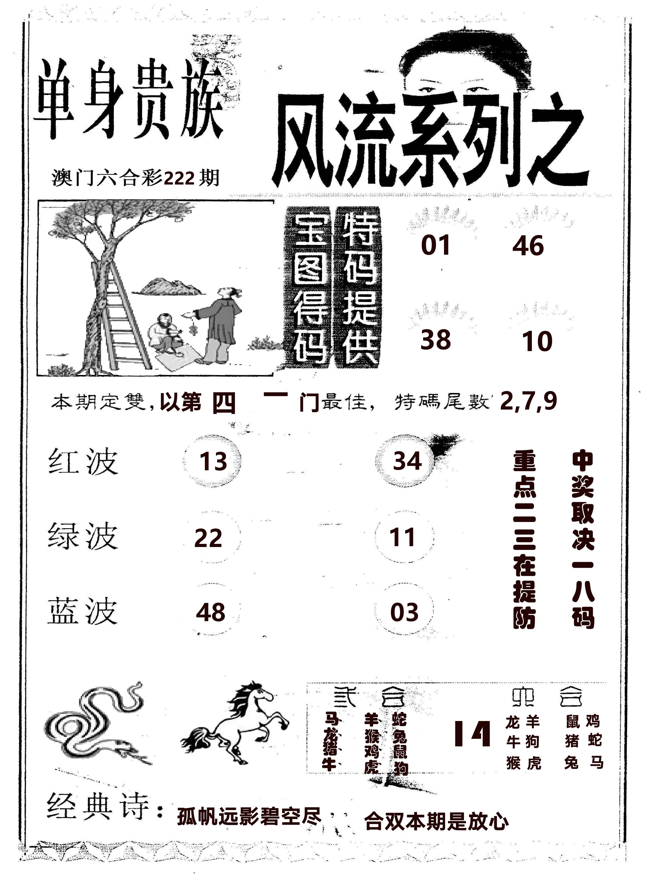 风流系列-2 第222期