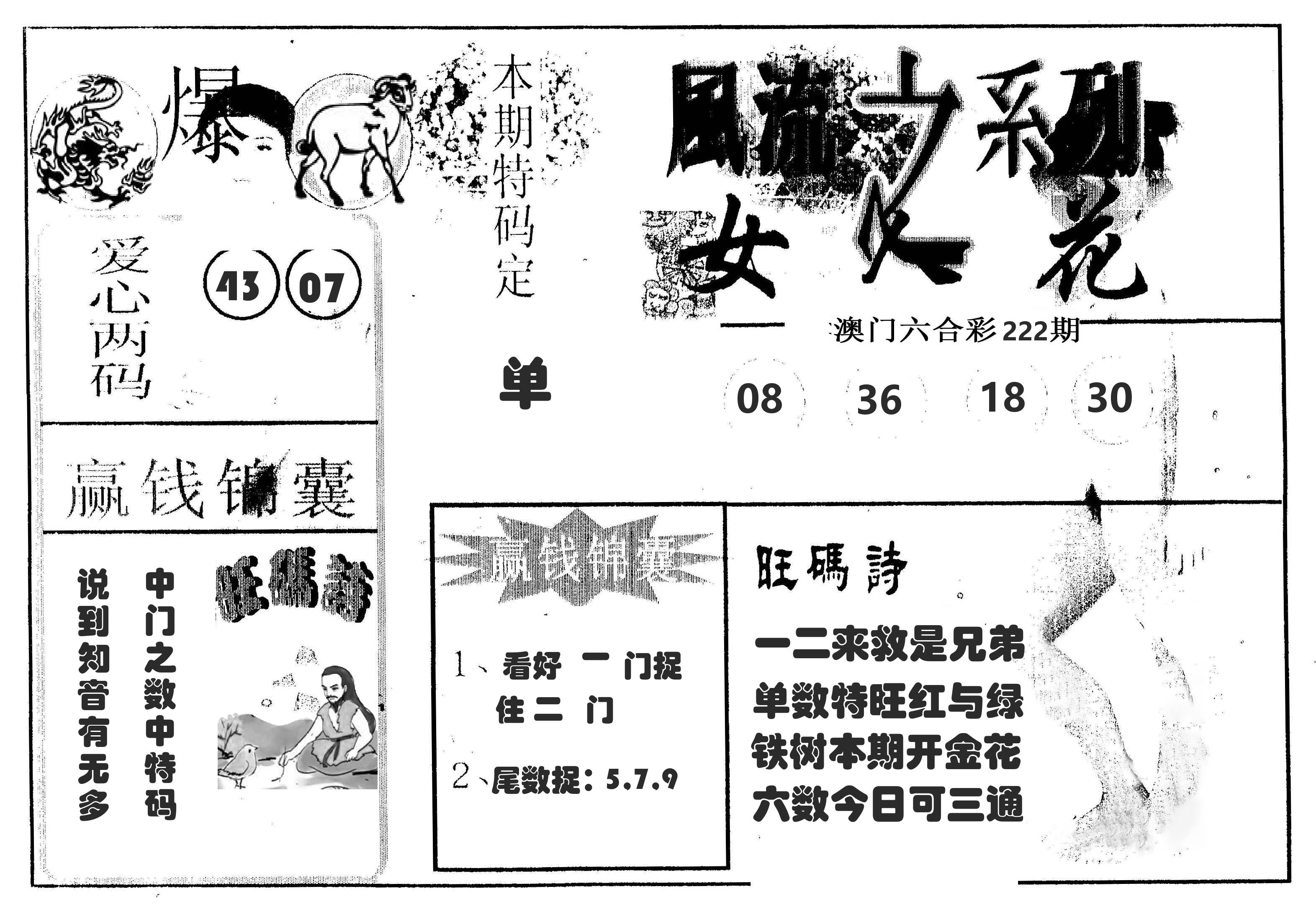风流系列-4 第222期