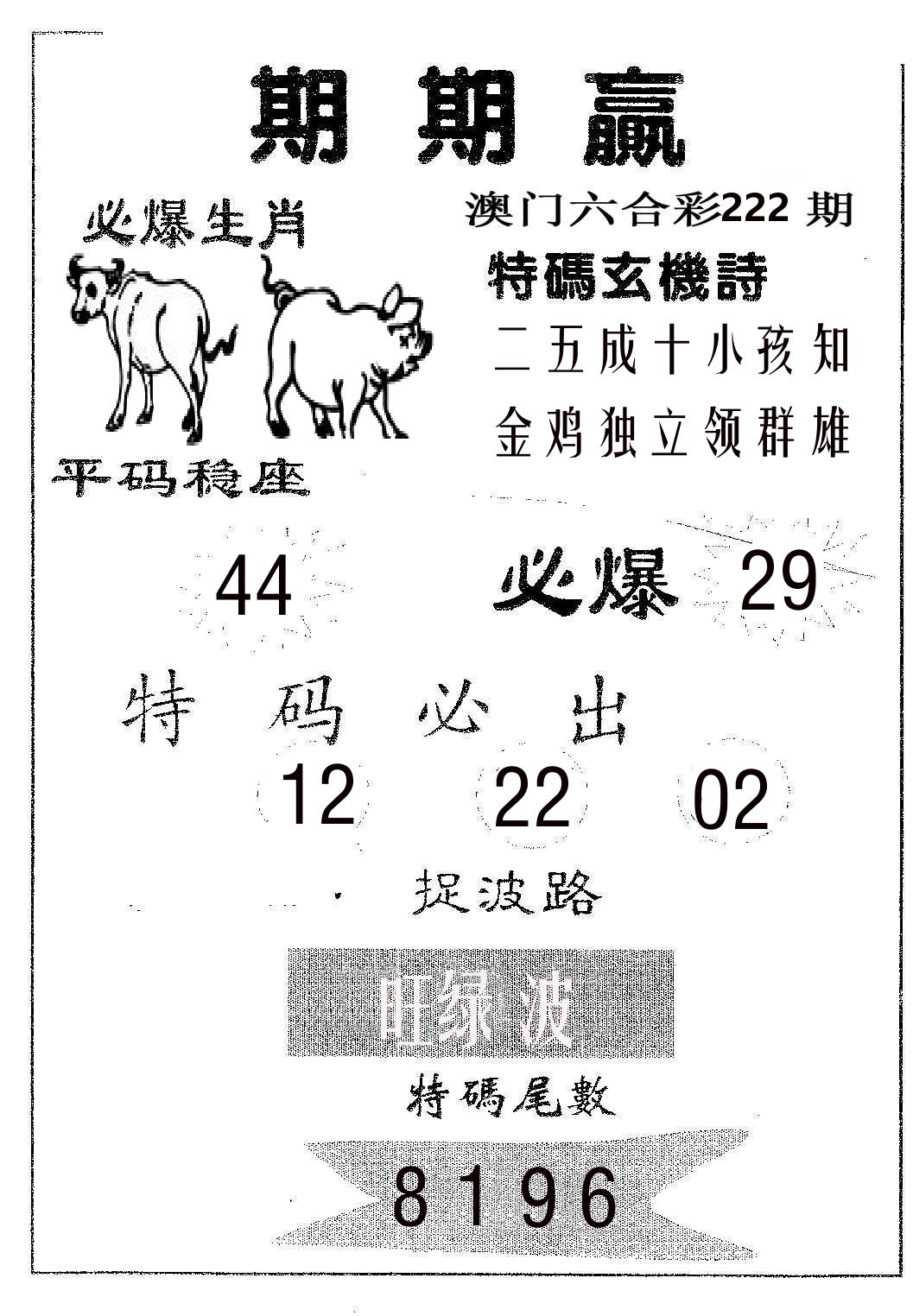 期期赢 第222期