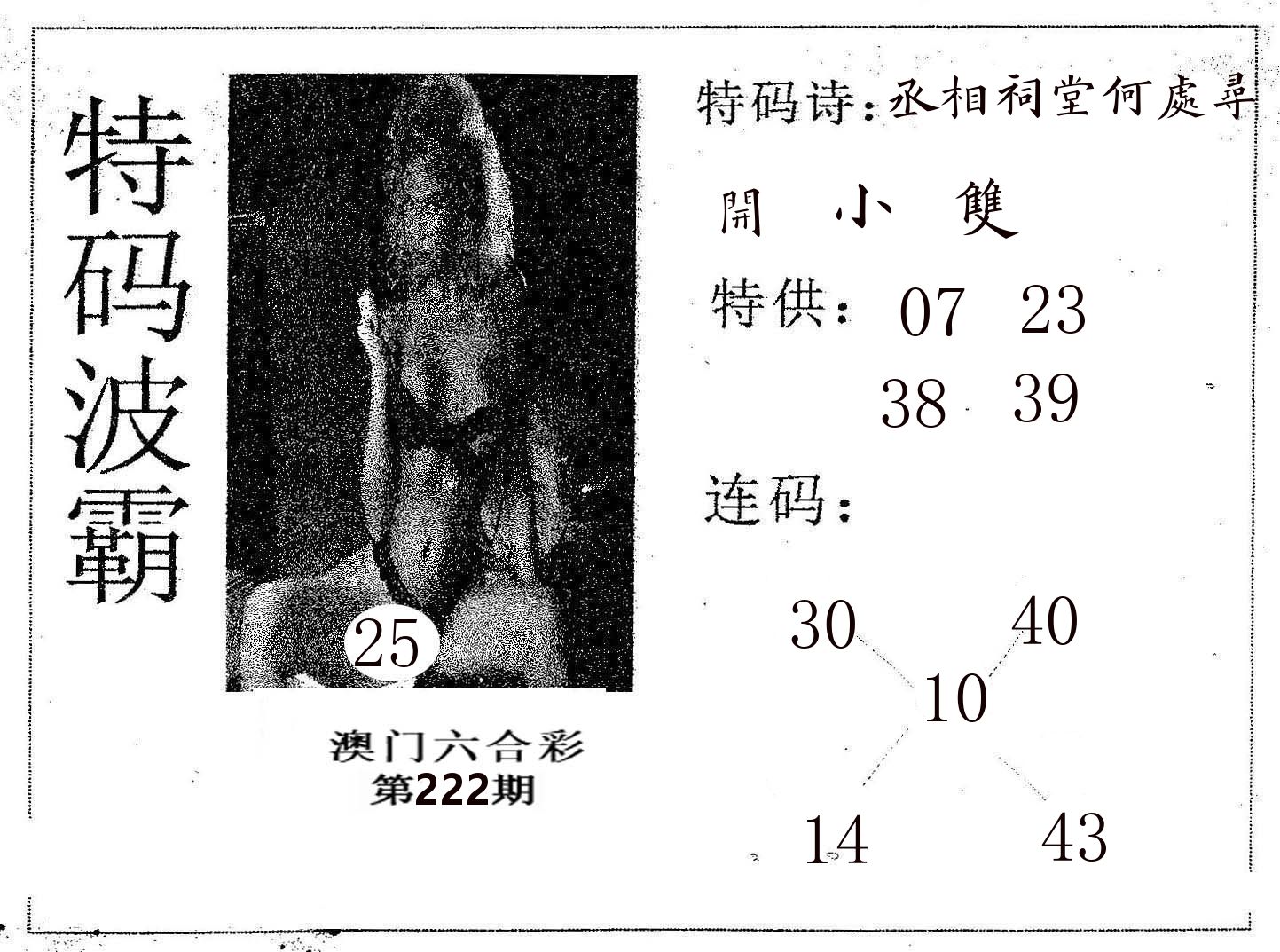 特码波霸 第222期