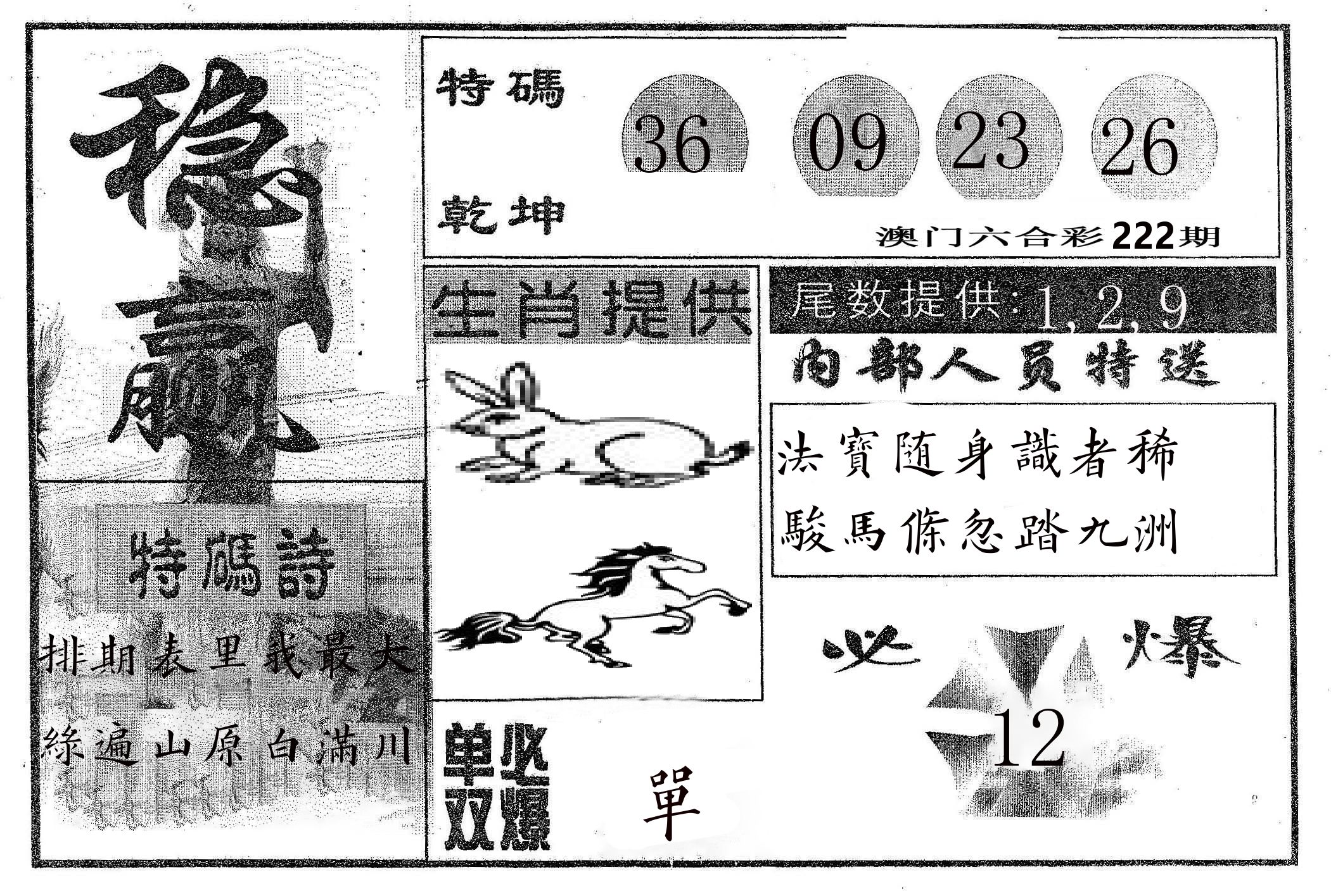 稳赢 第222期