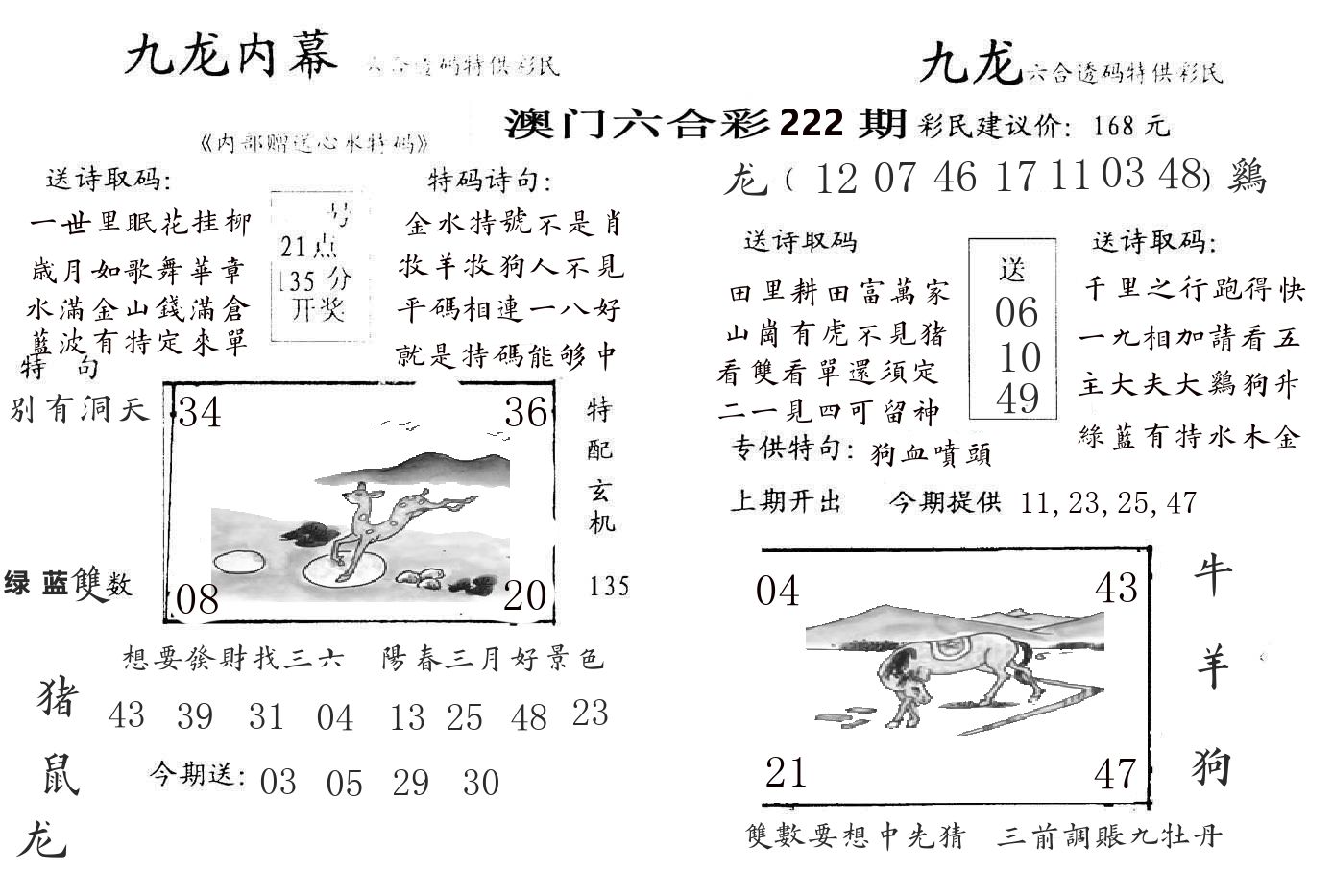 九龙内幕 第222期