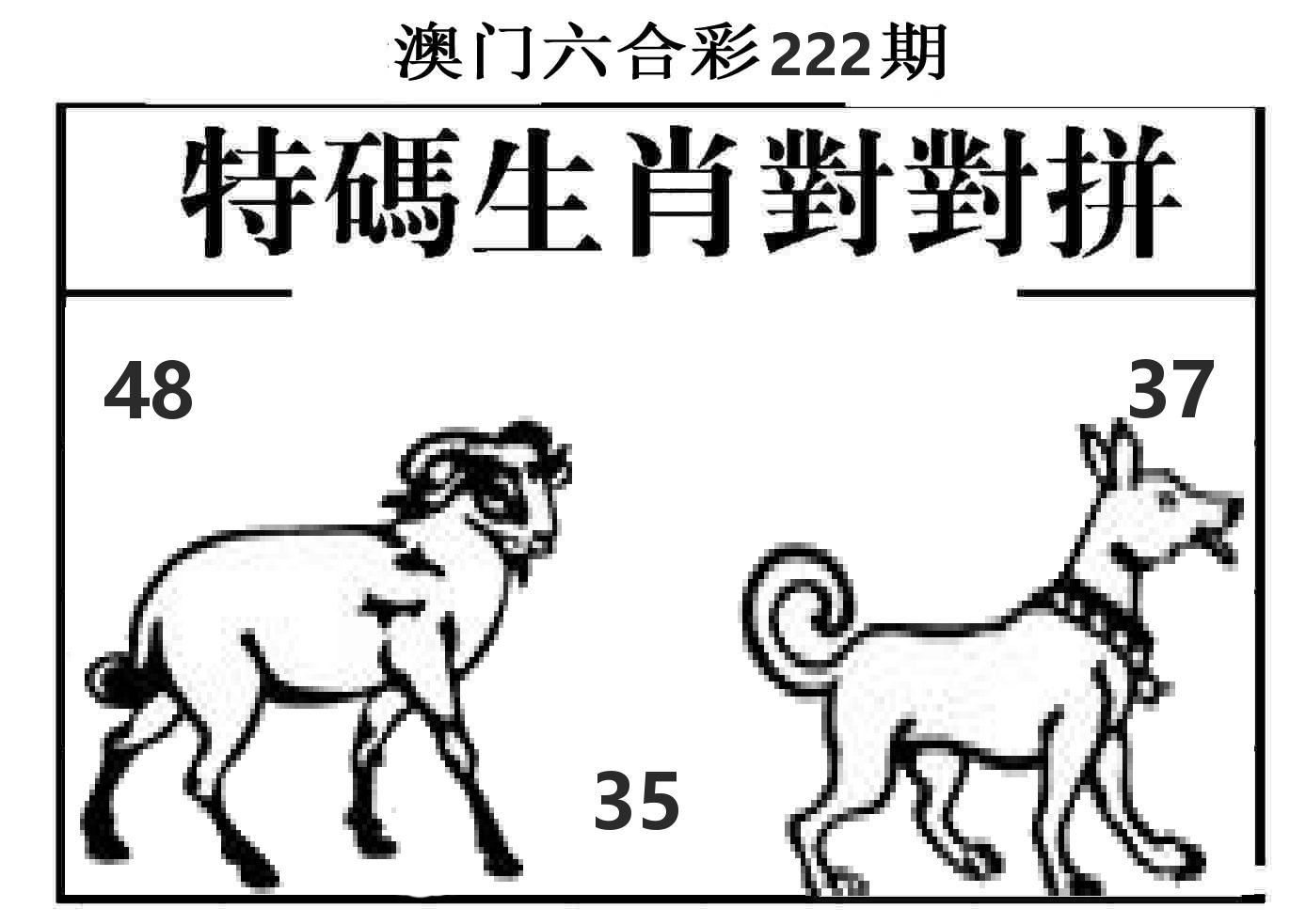 特码生肖对对拼 第222期