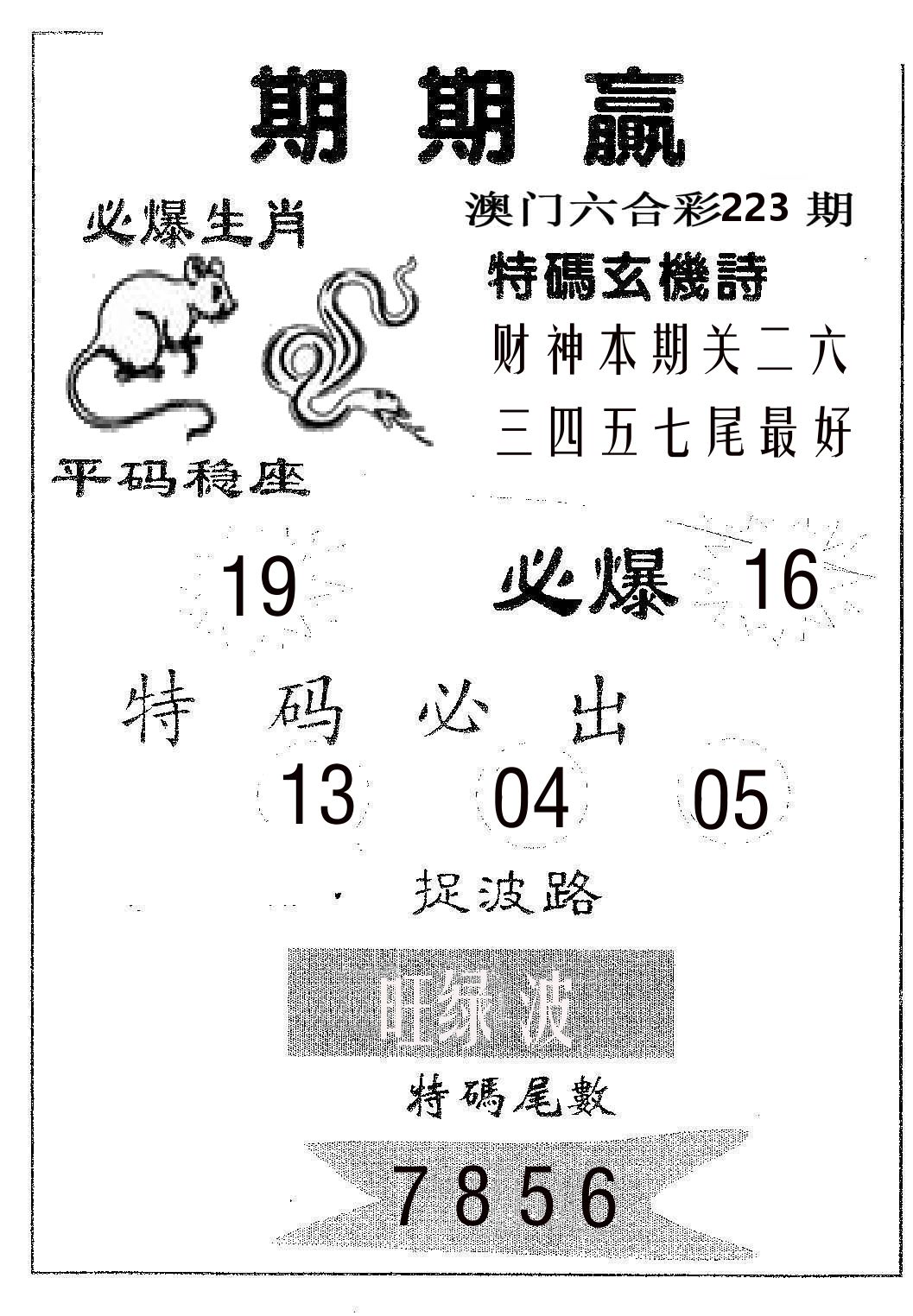期期赢 第223期