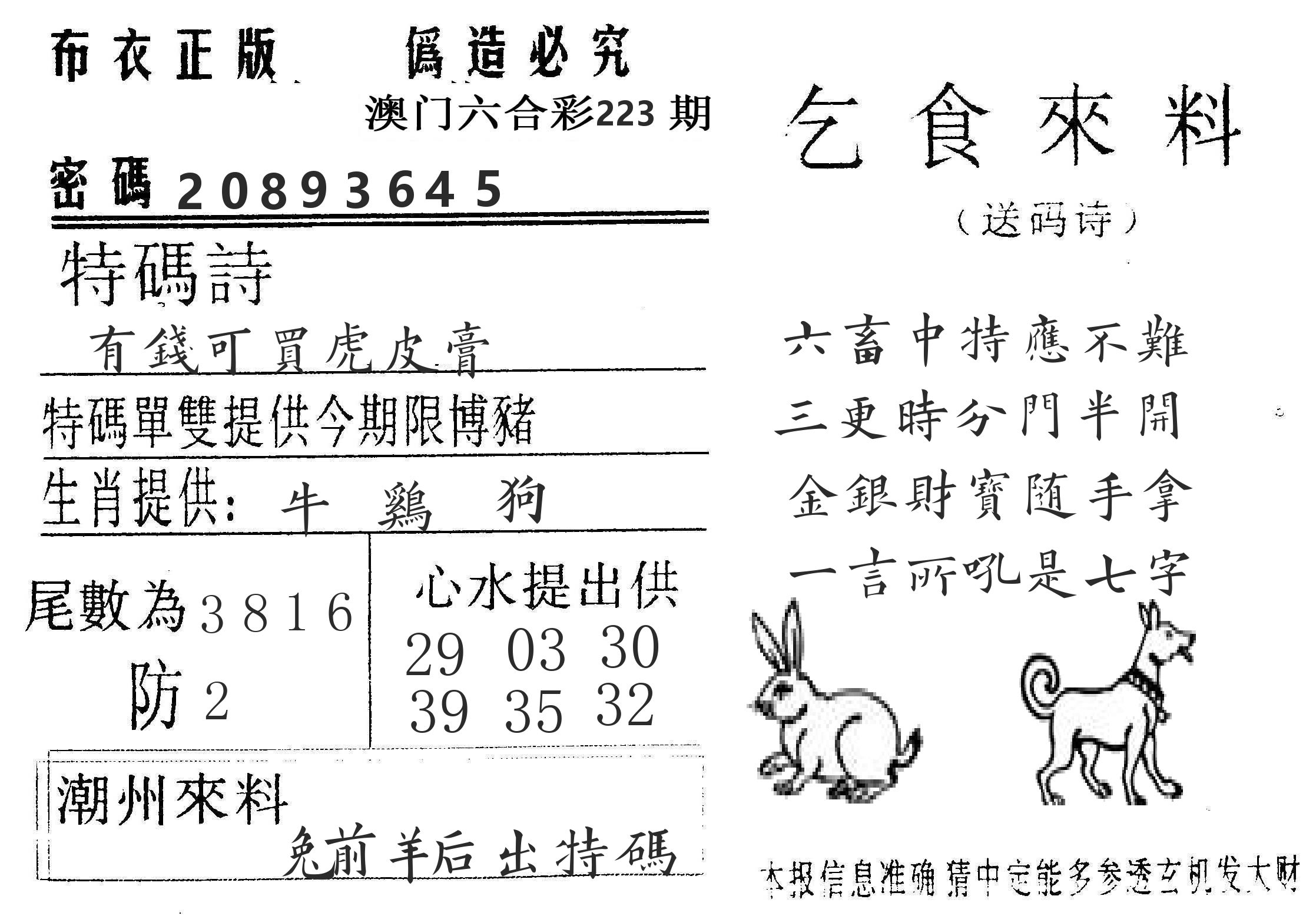 千禧码王 第223期