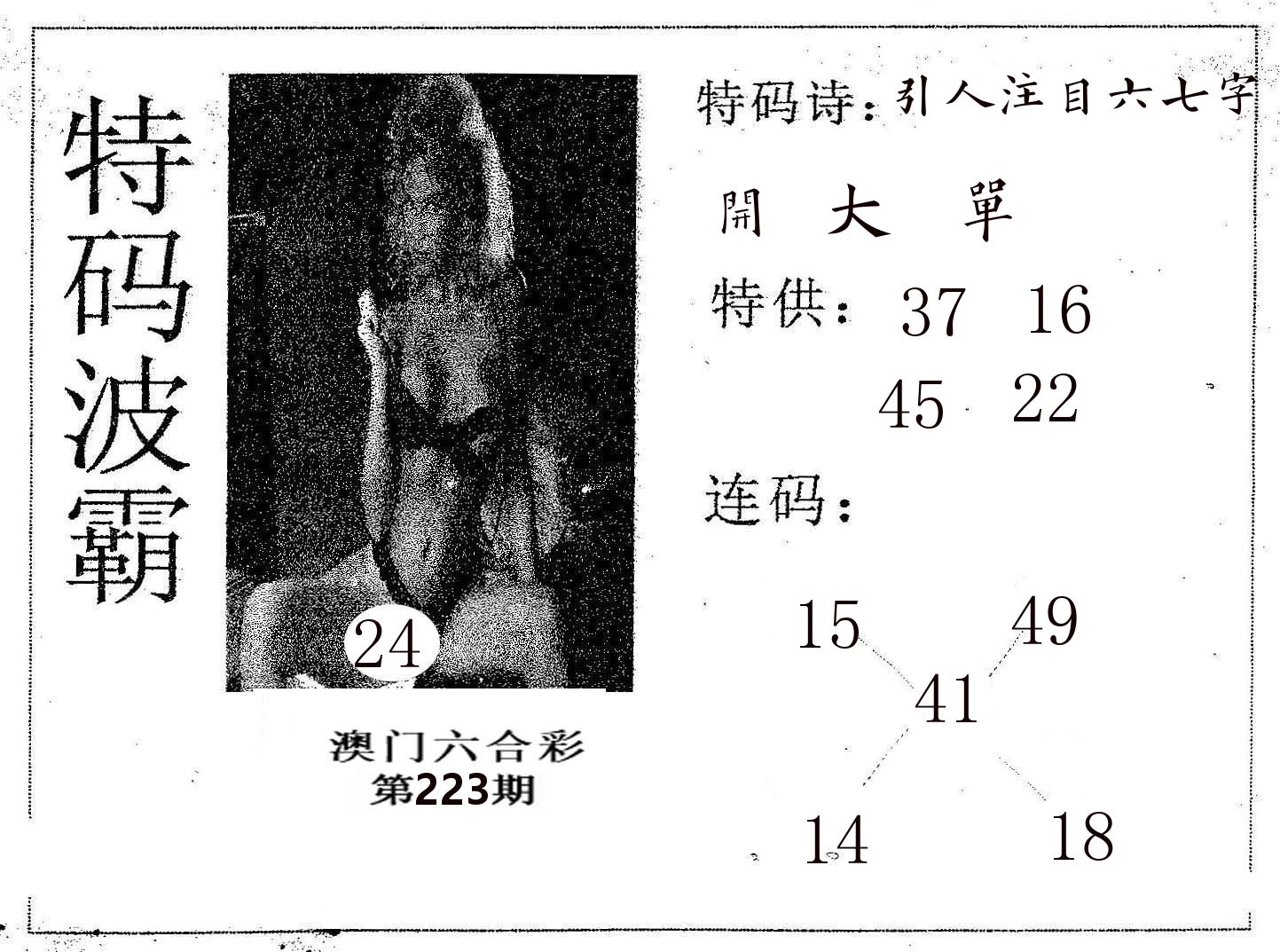 特码波霸 第223期