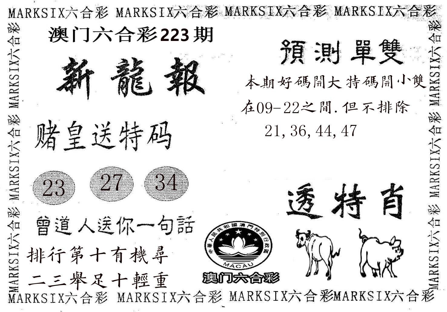 新龙报 第223期