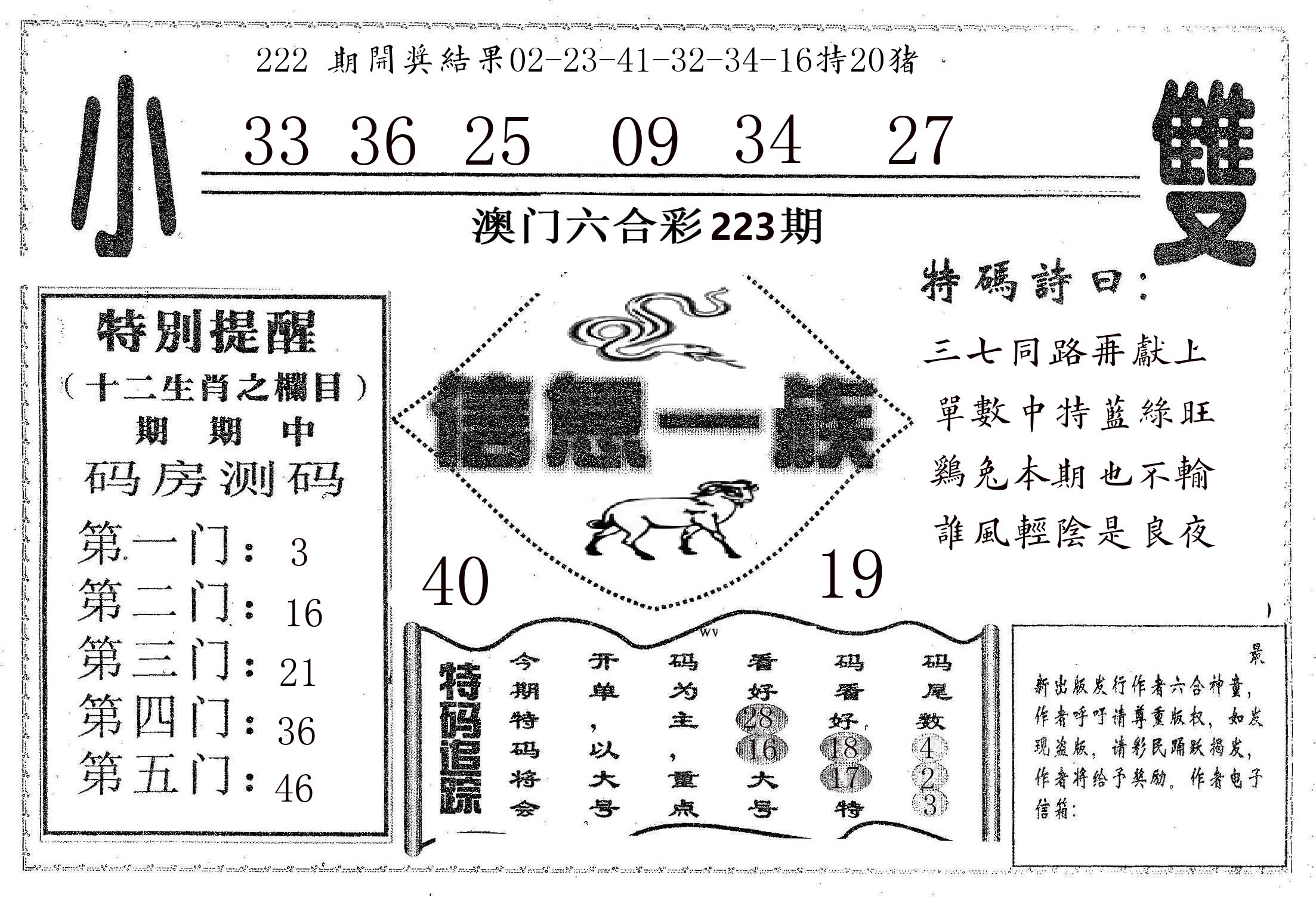 信息一族 第223期